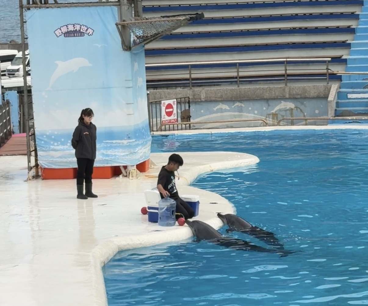 動態生態解說展演片段