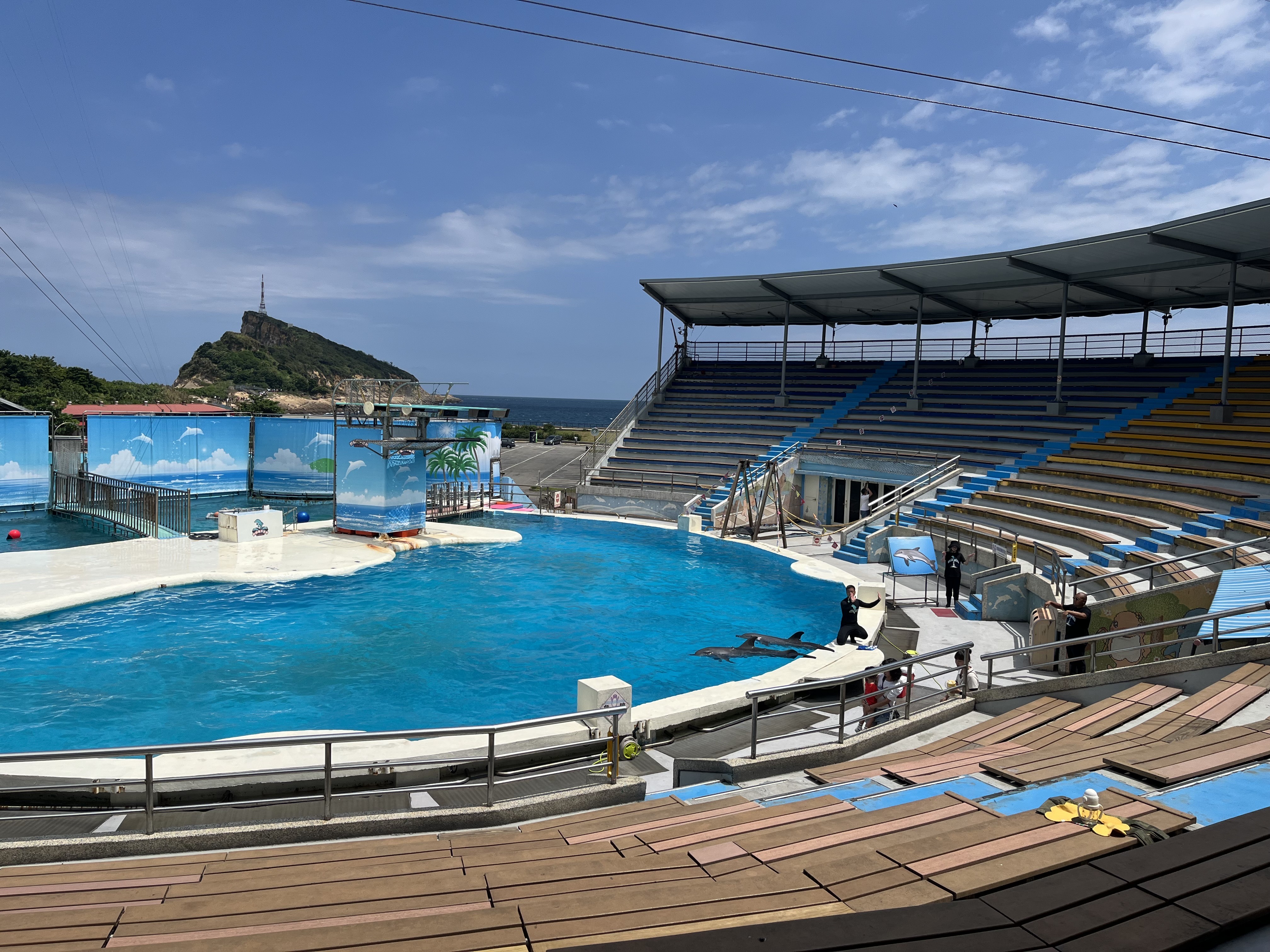  野柳海洋世界展演場育