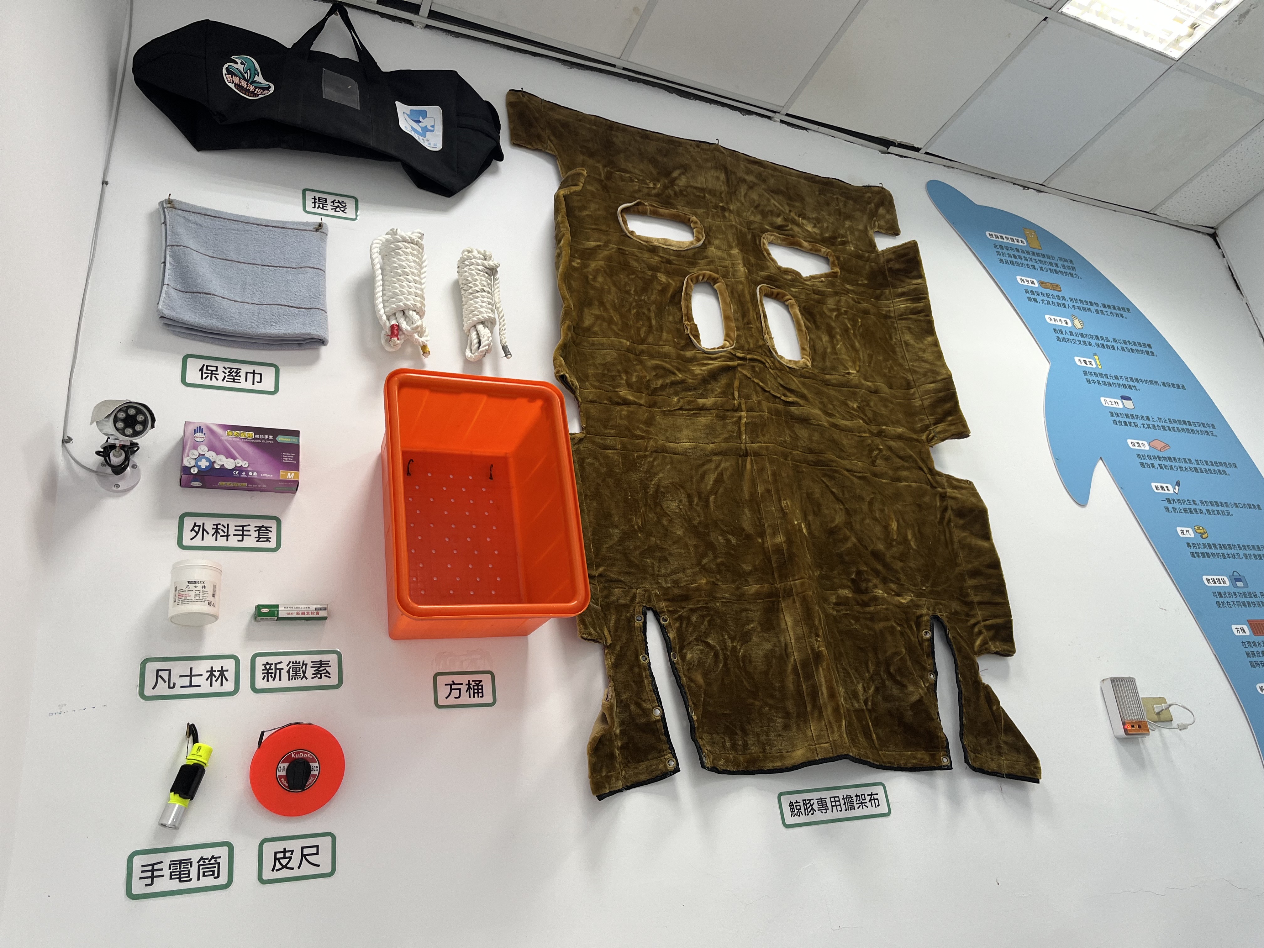 鯨豚海龜擱淺救援裝備牆