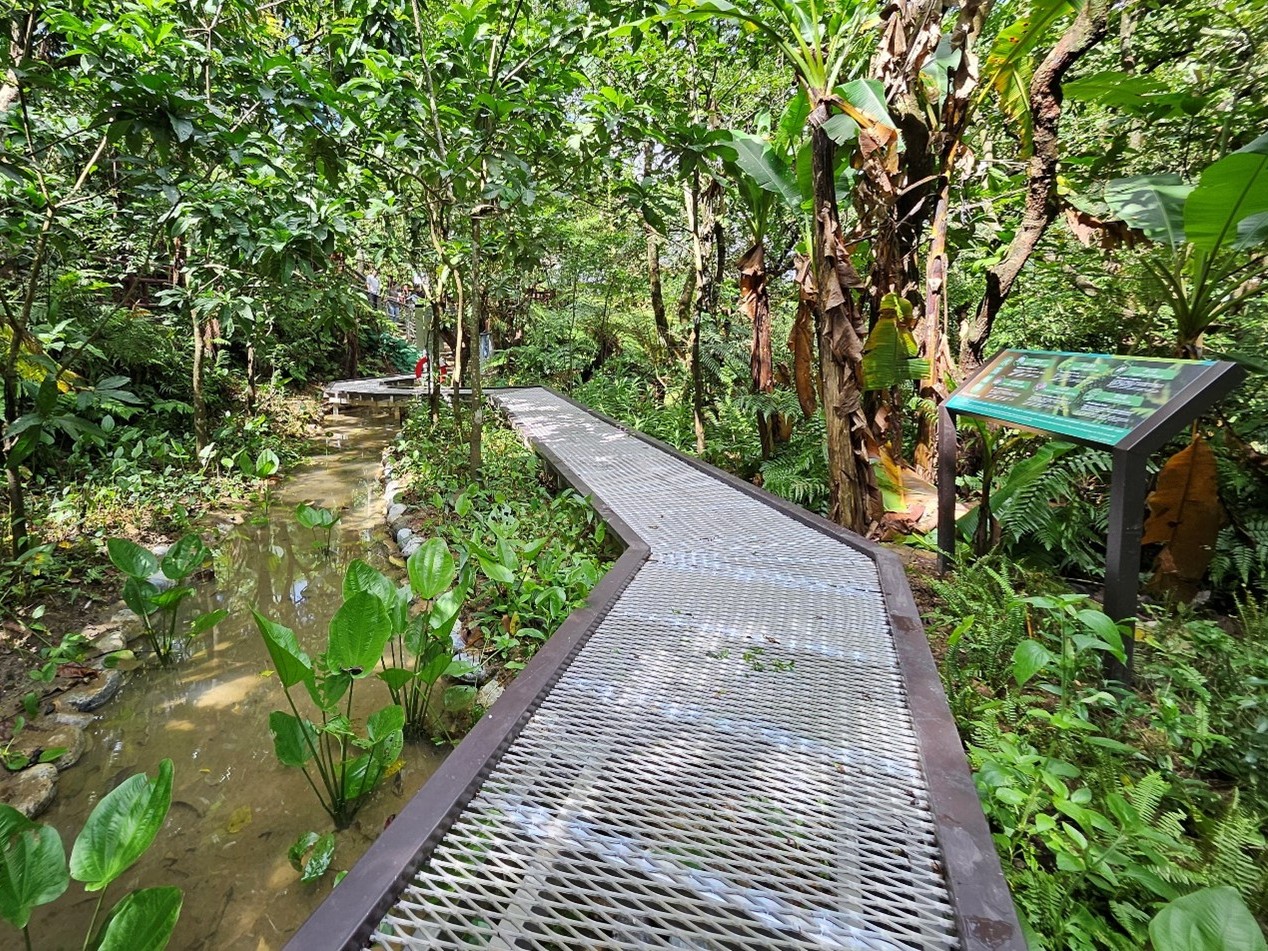 「新北市土城桐花公園景點營造工程」整理既有生態池棲地，建置生態觀察棧道，保留生物棲息空間