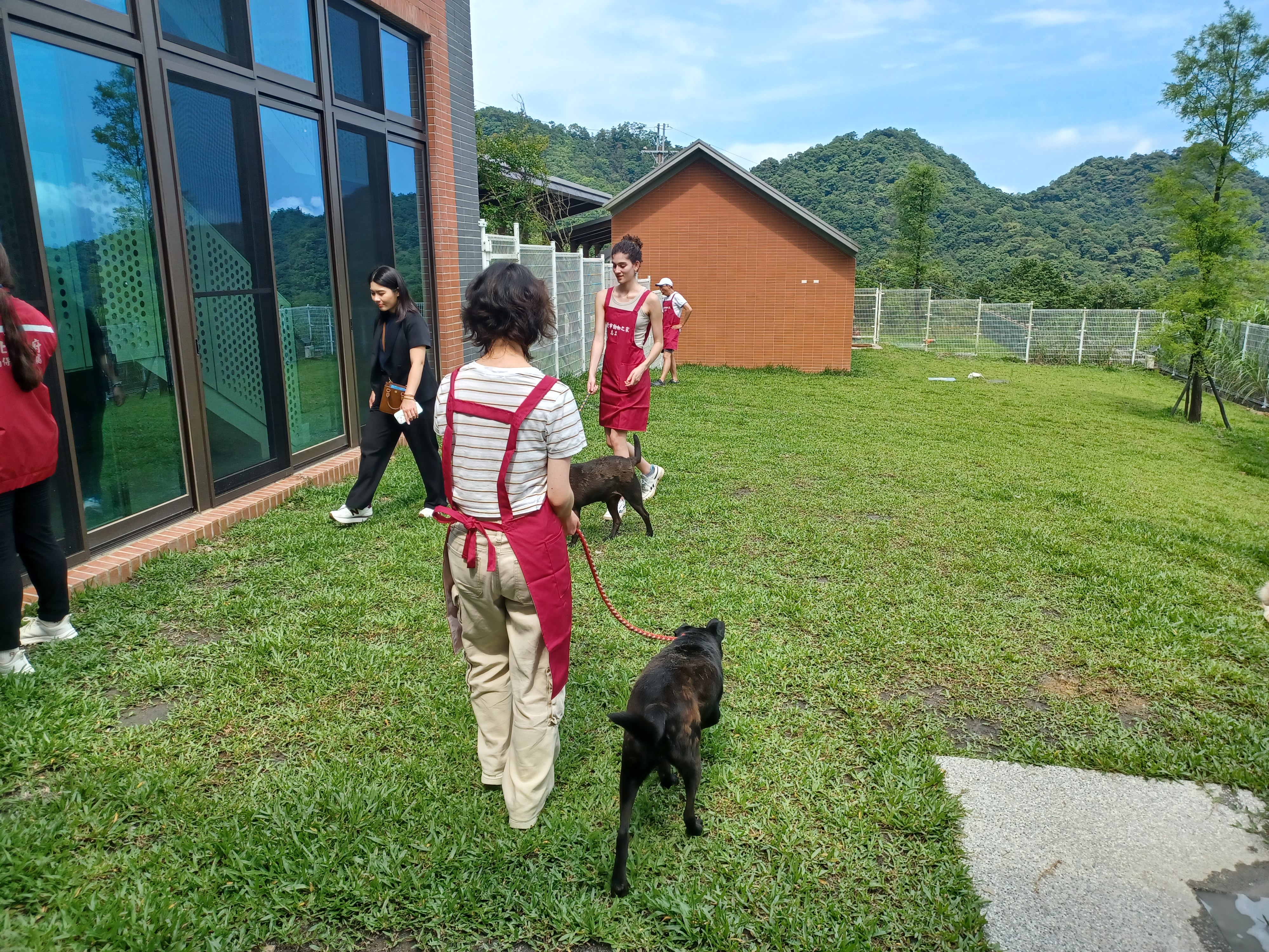  民眾與犬隻可在大草坪上悠閒地互動