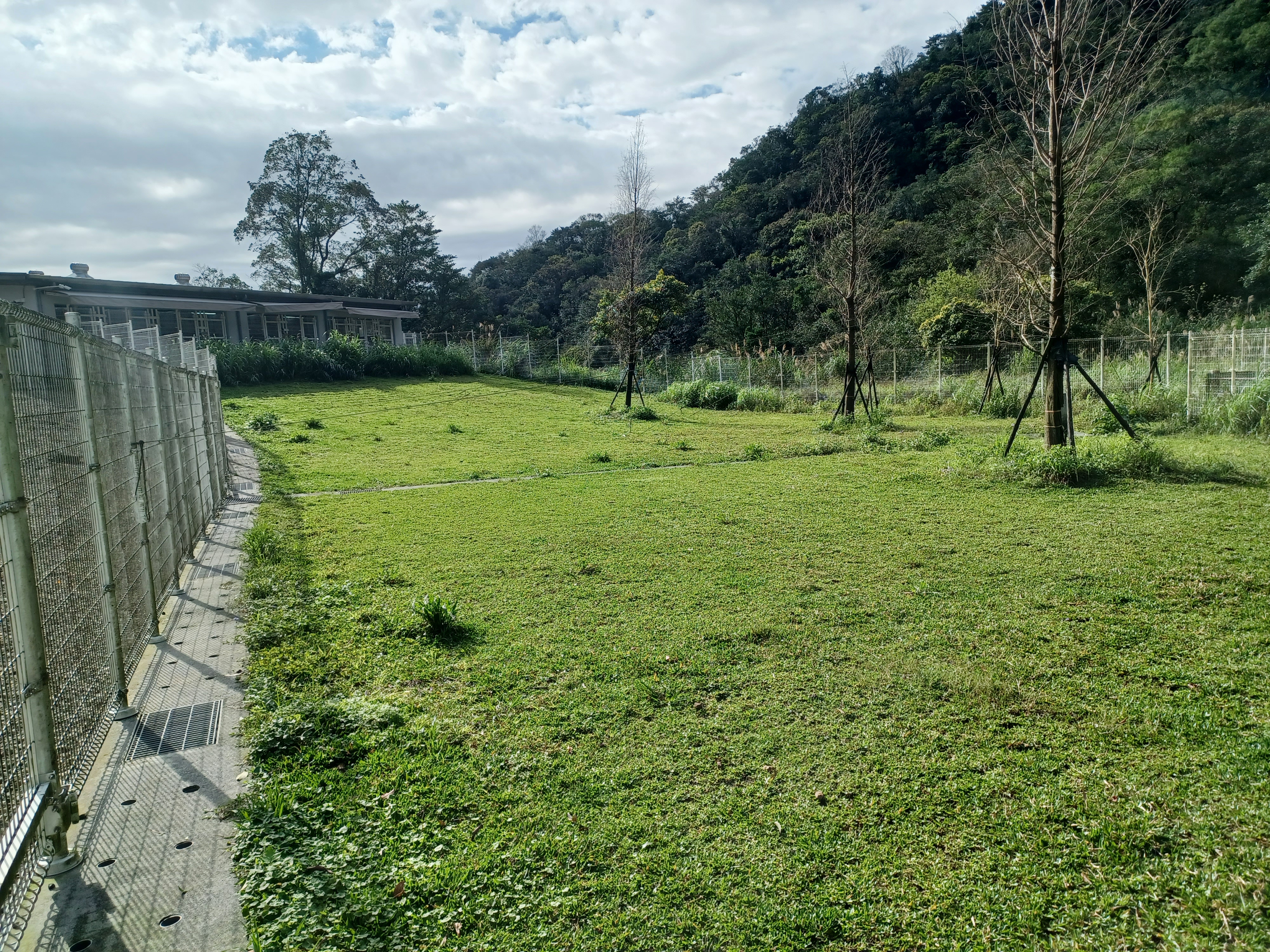 瑞動後側美麗的草坪也可供民眾與毛孩互動