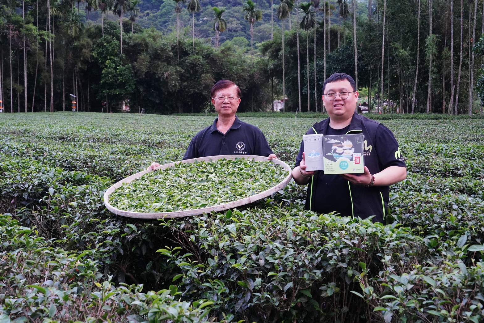 獲得特等獎的茶農黃正忠與兒子黃耀寬共同肩負天芳茶行傳承6代的歷史，本屆第18度替茶行帶回碧螺春特等獎榮耀，更一舉囊括所有頭等獎次，再次打響百年老店名號