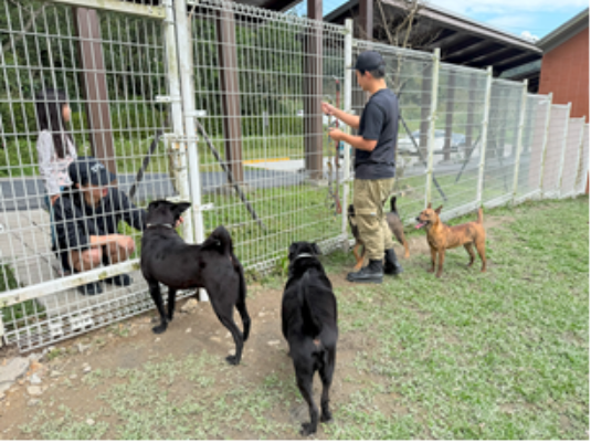 認養民眾與動物第一次接觸 確認適合再進一步互動