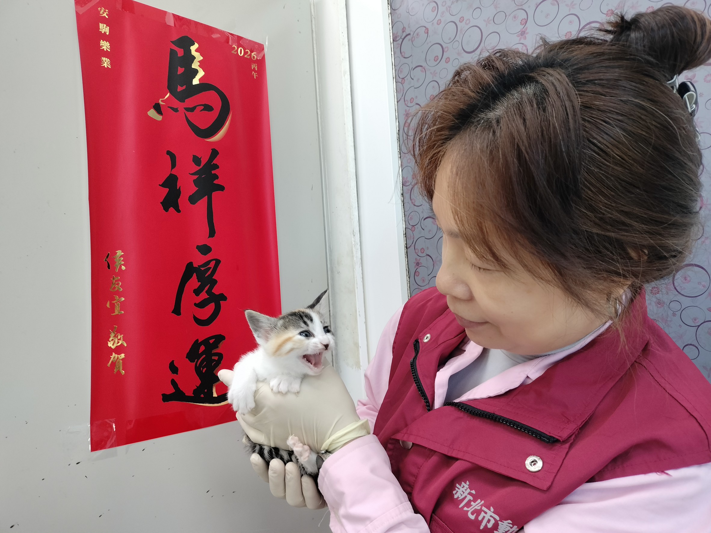 動保員謝溱秝祝福「花仙子」從此馬詳厚運