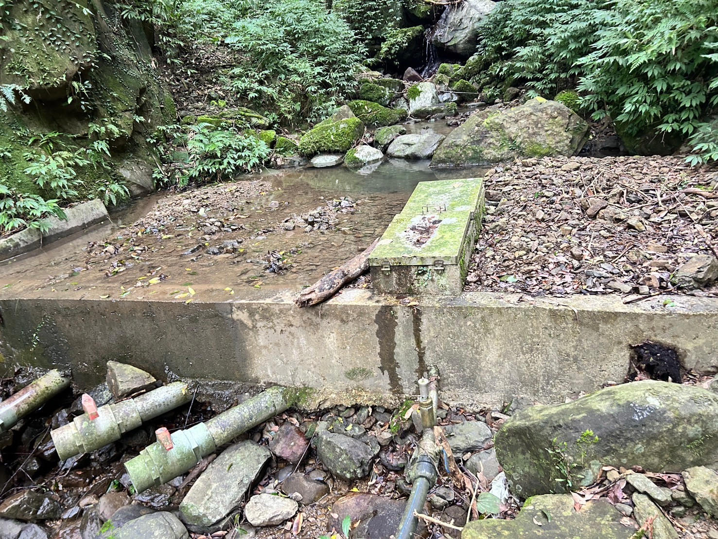 取水口及攔水堰淤塞情況相當嚴重