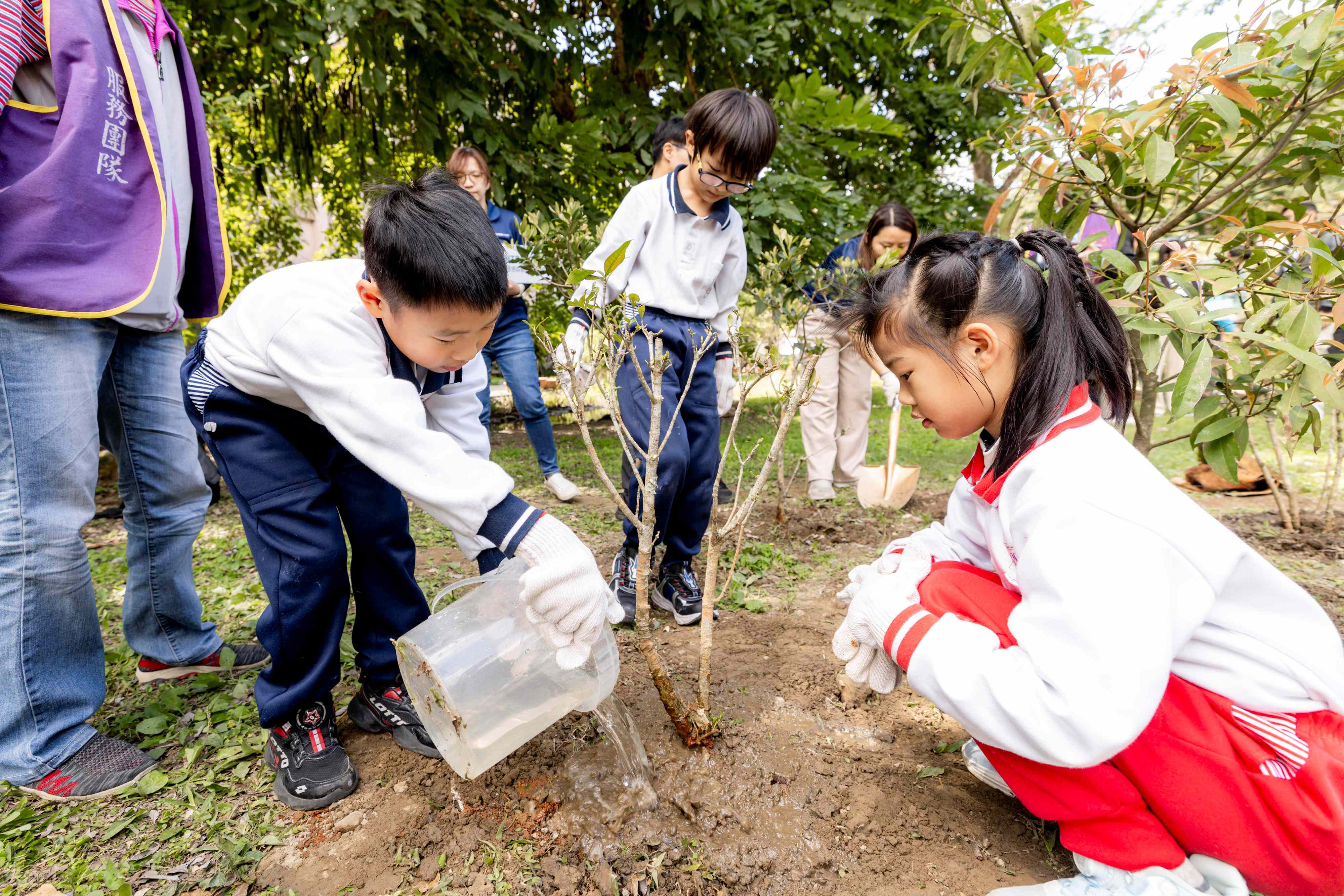 板橋區大觀國小學童參與校園植樹