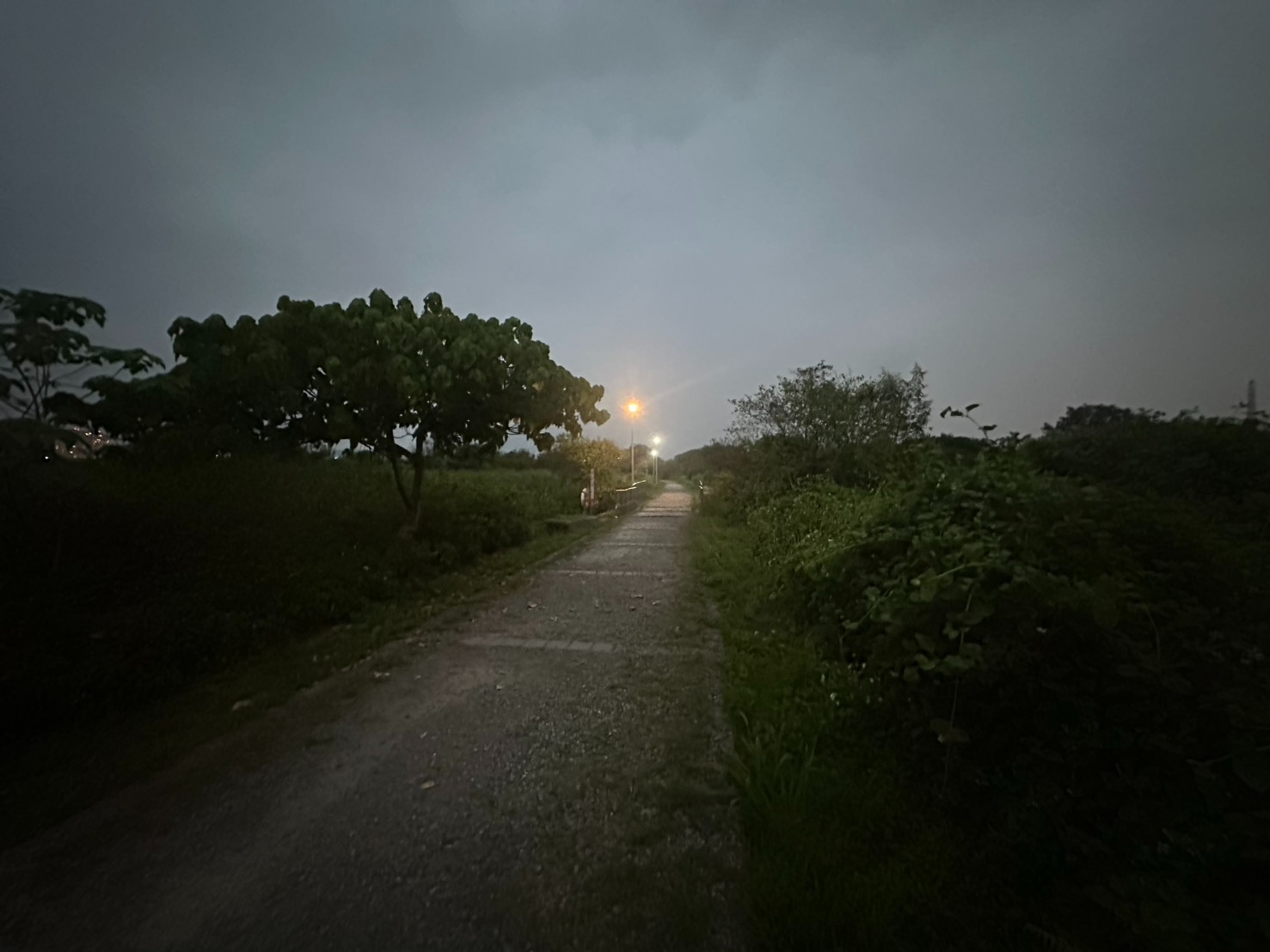  減少景觀燈設置，降低光害對動植物棲息的影響