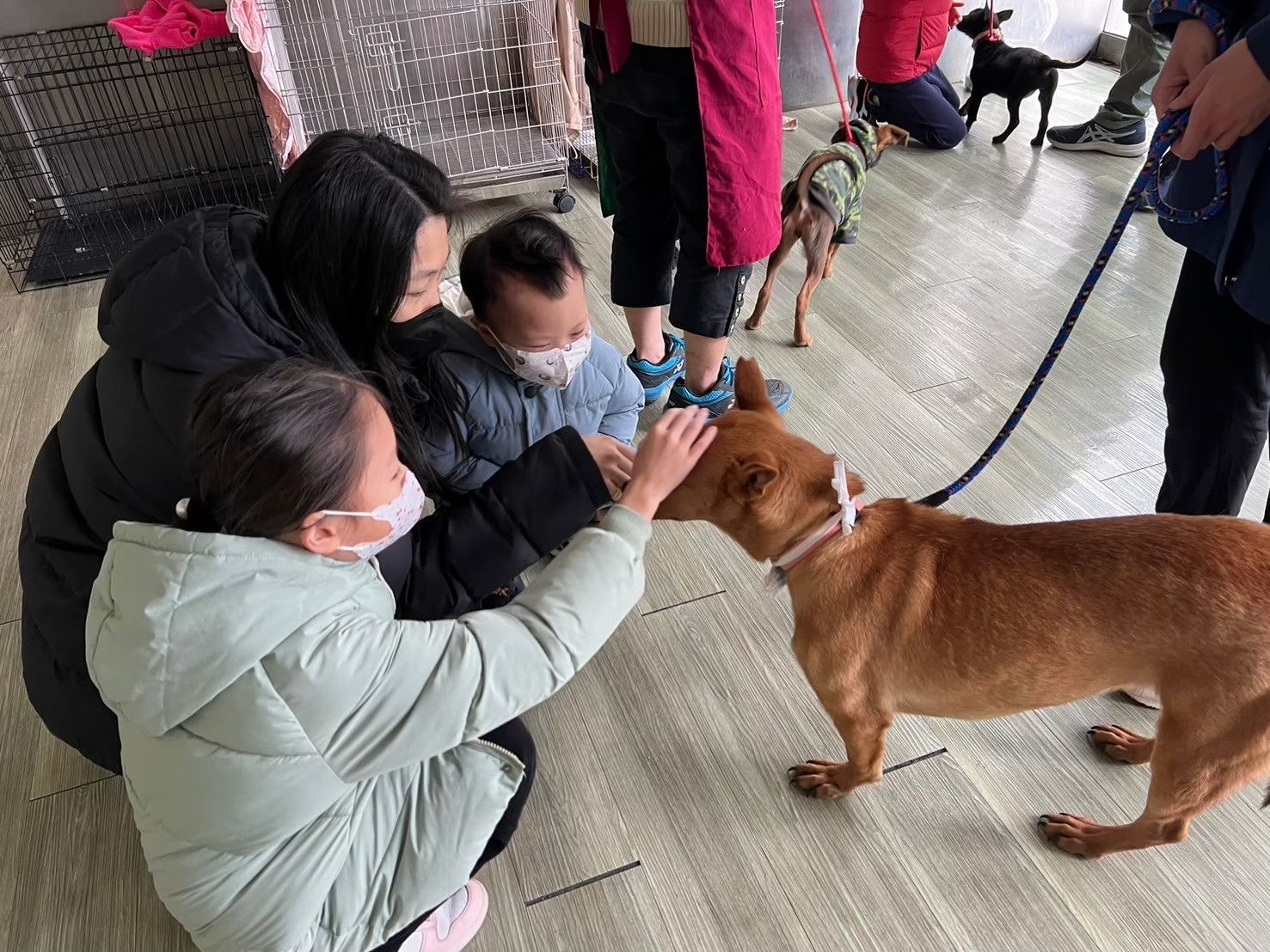 民眾可以踴躍至各動物之家認養犬貓，給牠一個溫暖的家