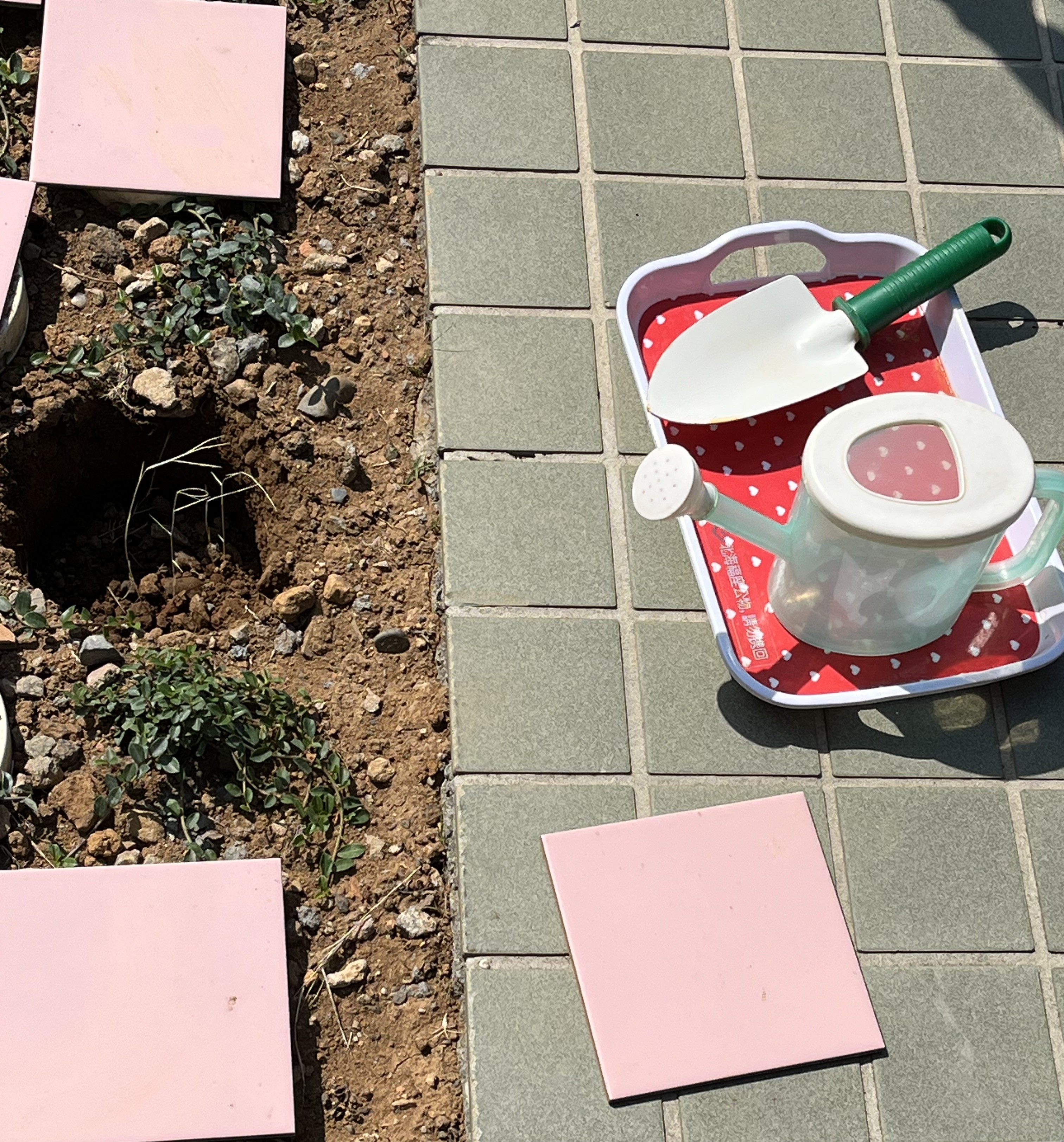 寵物火化後有樹葬、灑葬等方式