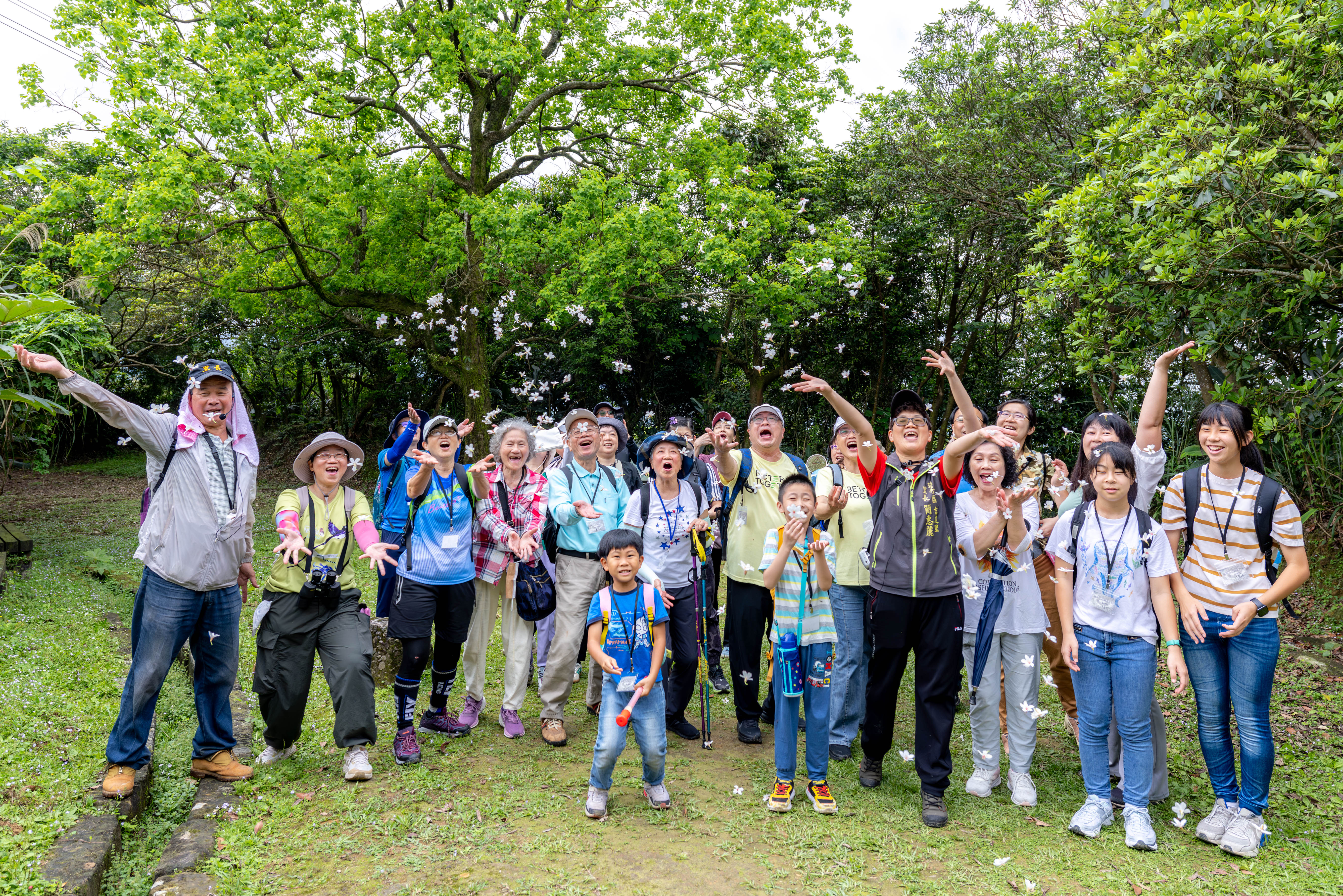 瑞芳賞花民眾開心享受五月雪