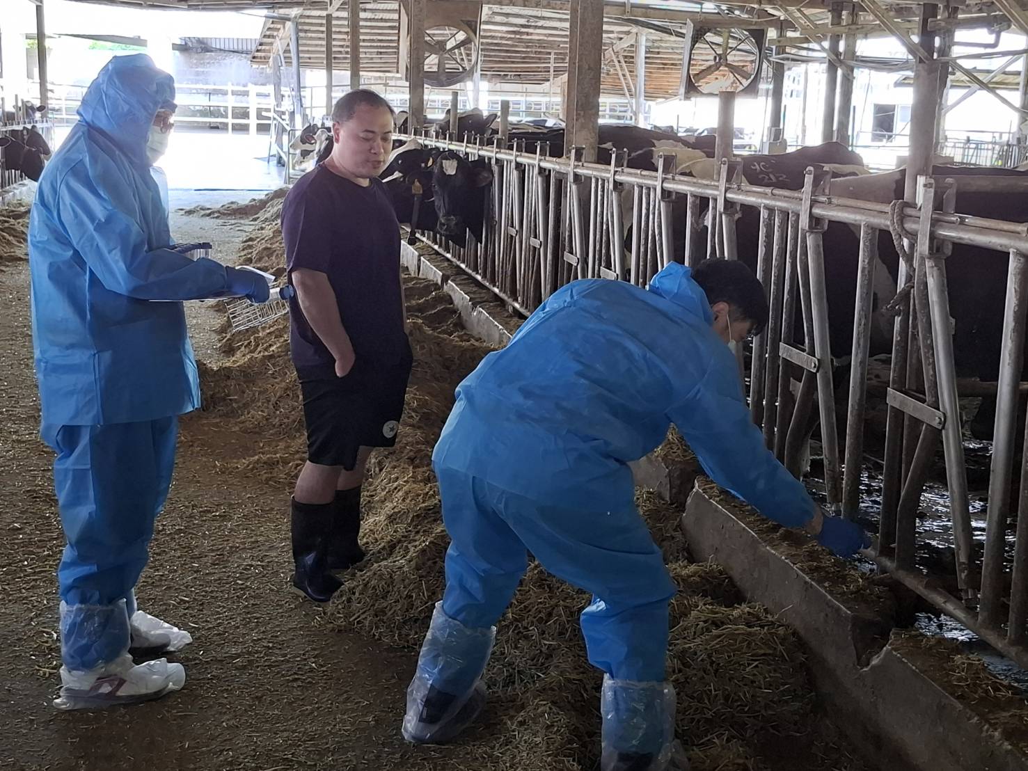 進行環境採樣分析環境中是否有常見病原