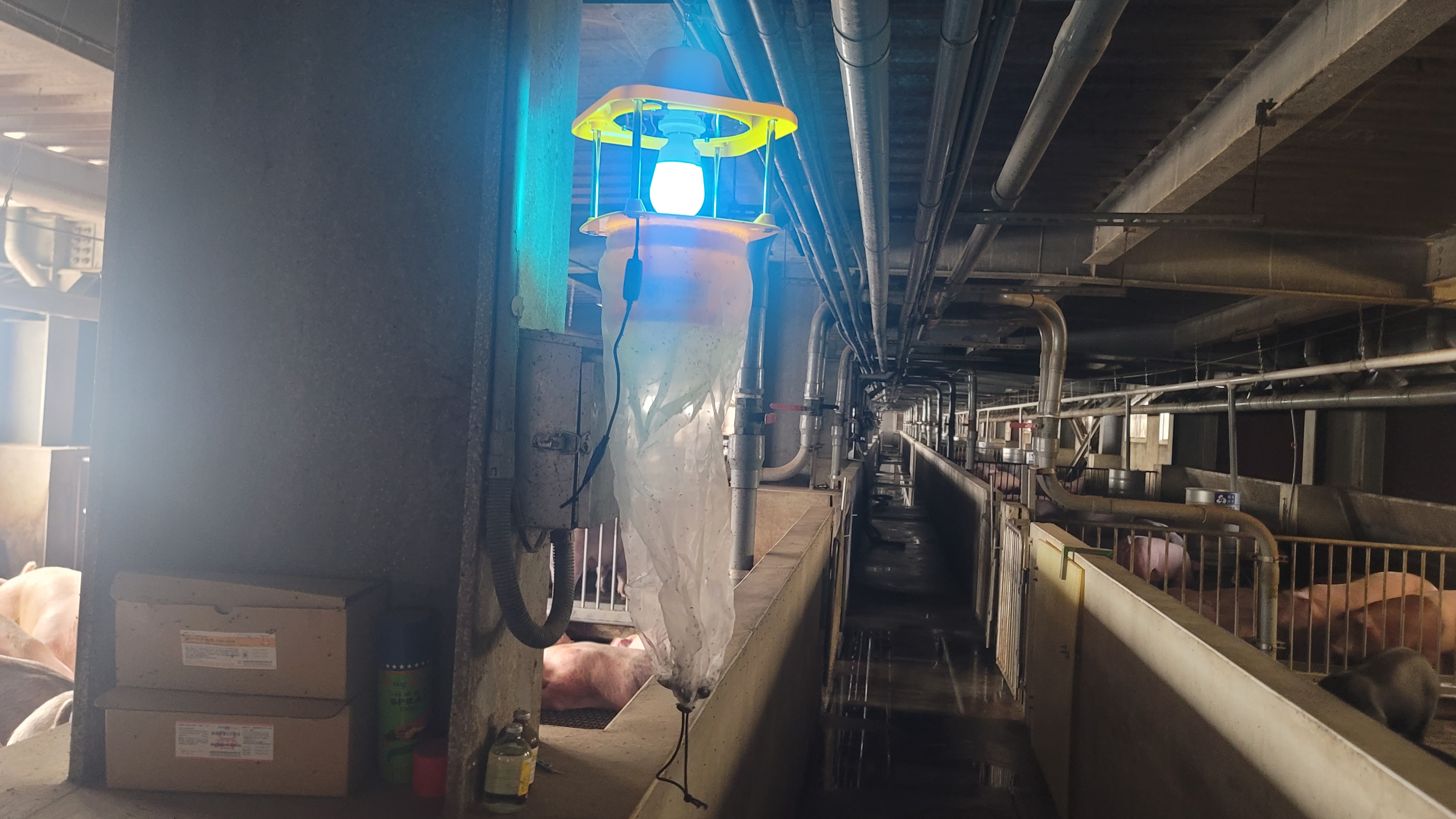 新北動保處提供畜牧場節能藍光捕蟲燈