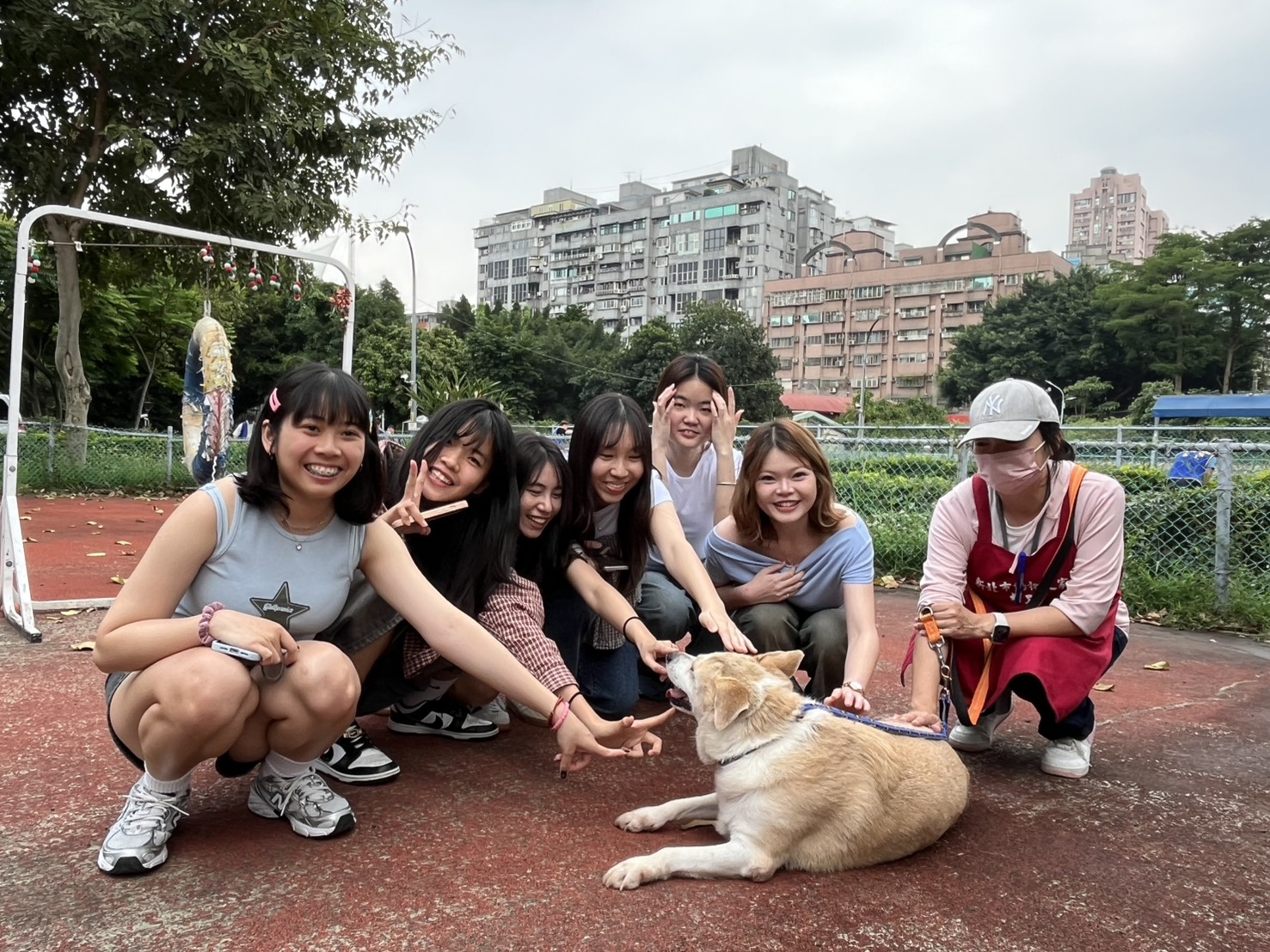  毛寶貝甜心奶茶，超吸晴