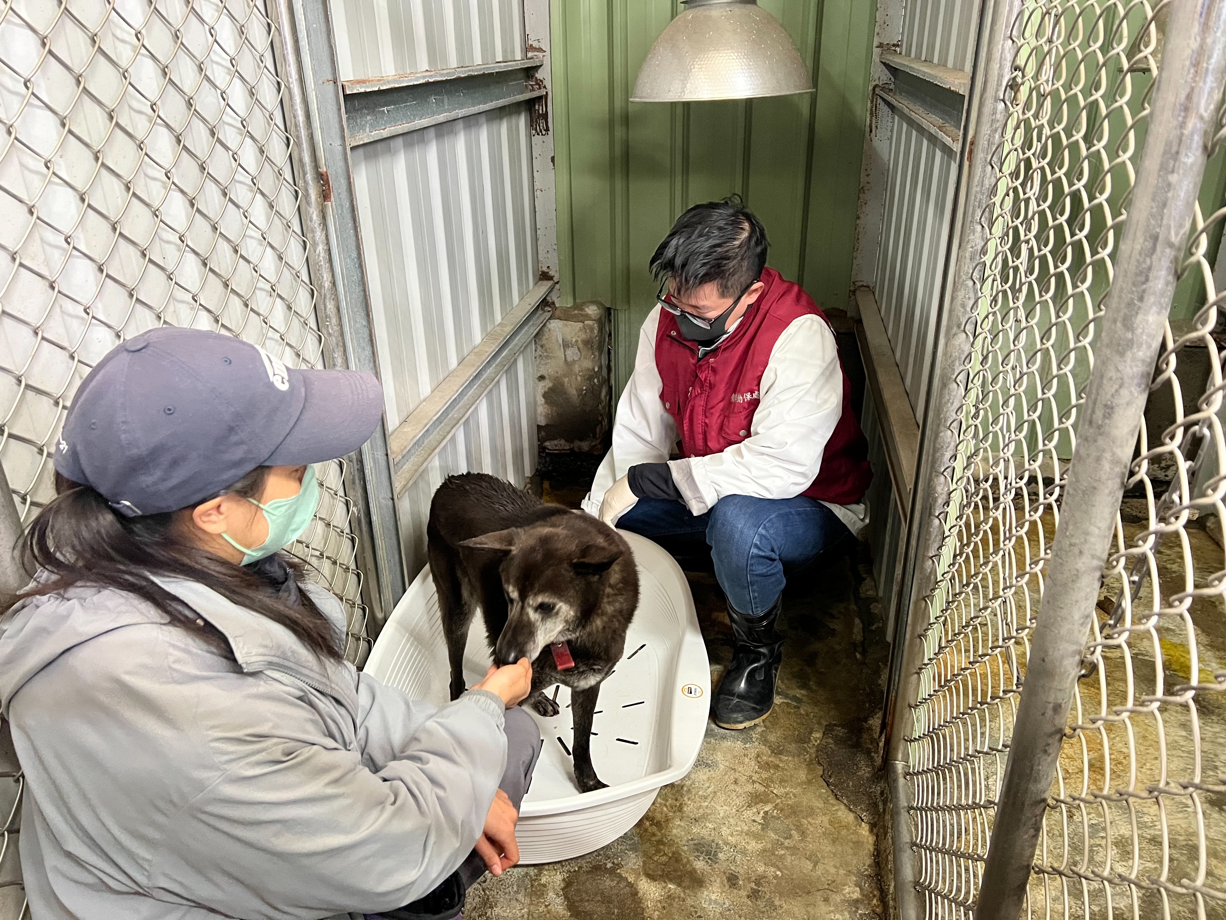  訓犬師邵維君教導毛寶貝快速適應新床