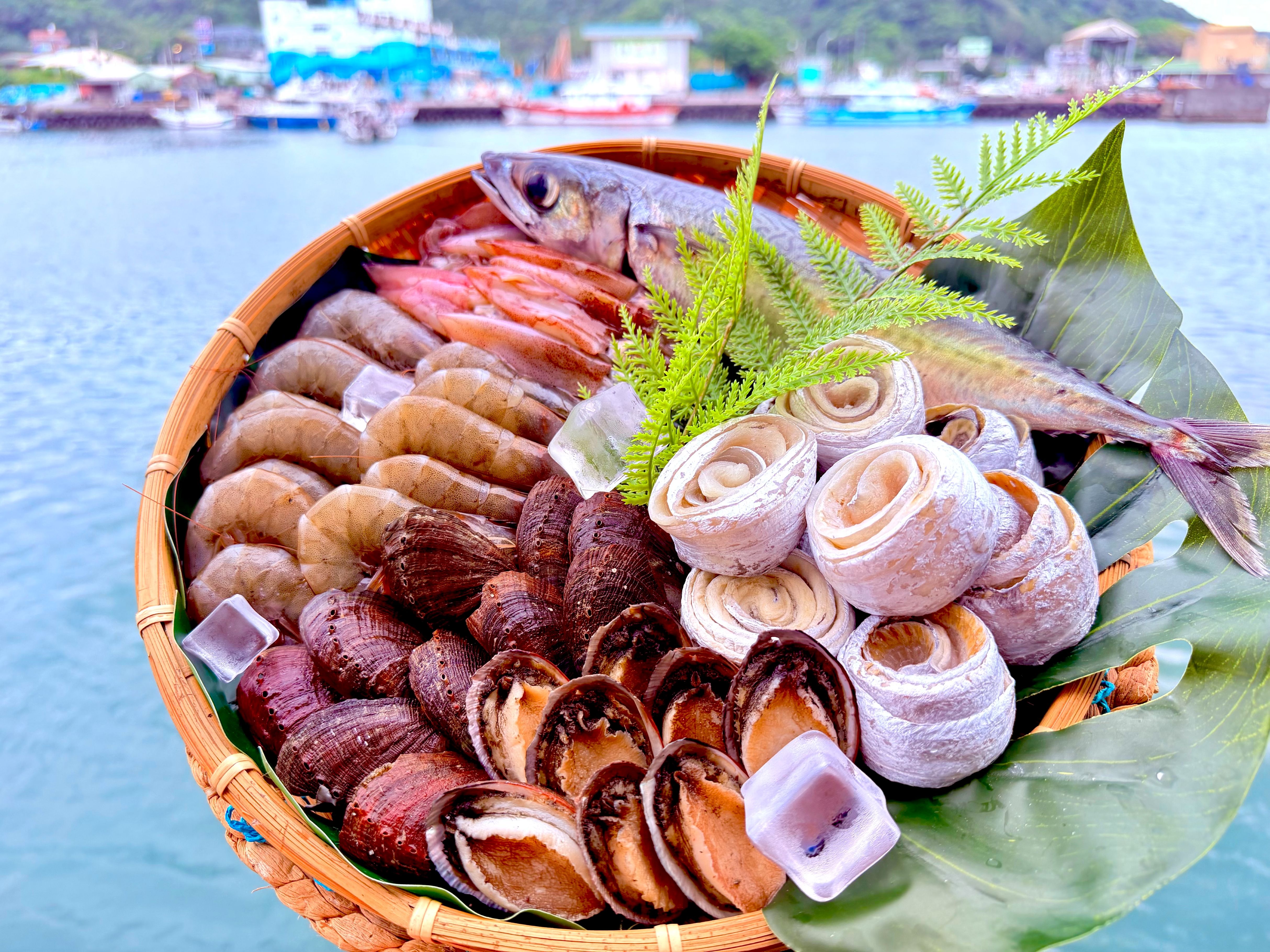 貢寮鮑海味禮盒超澎拜