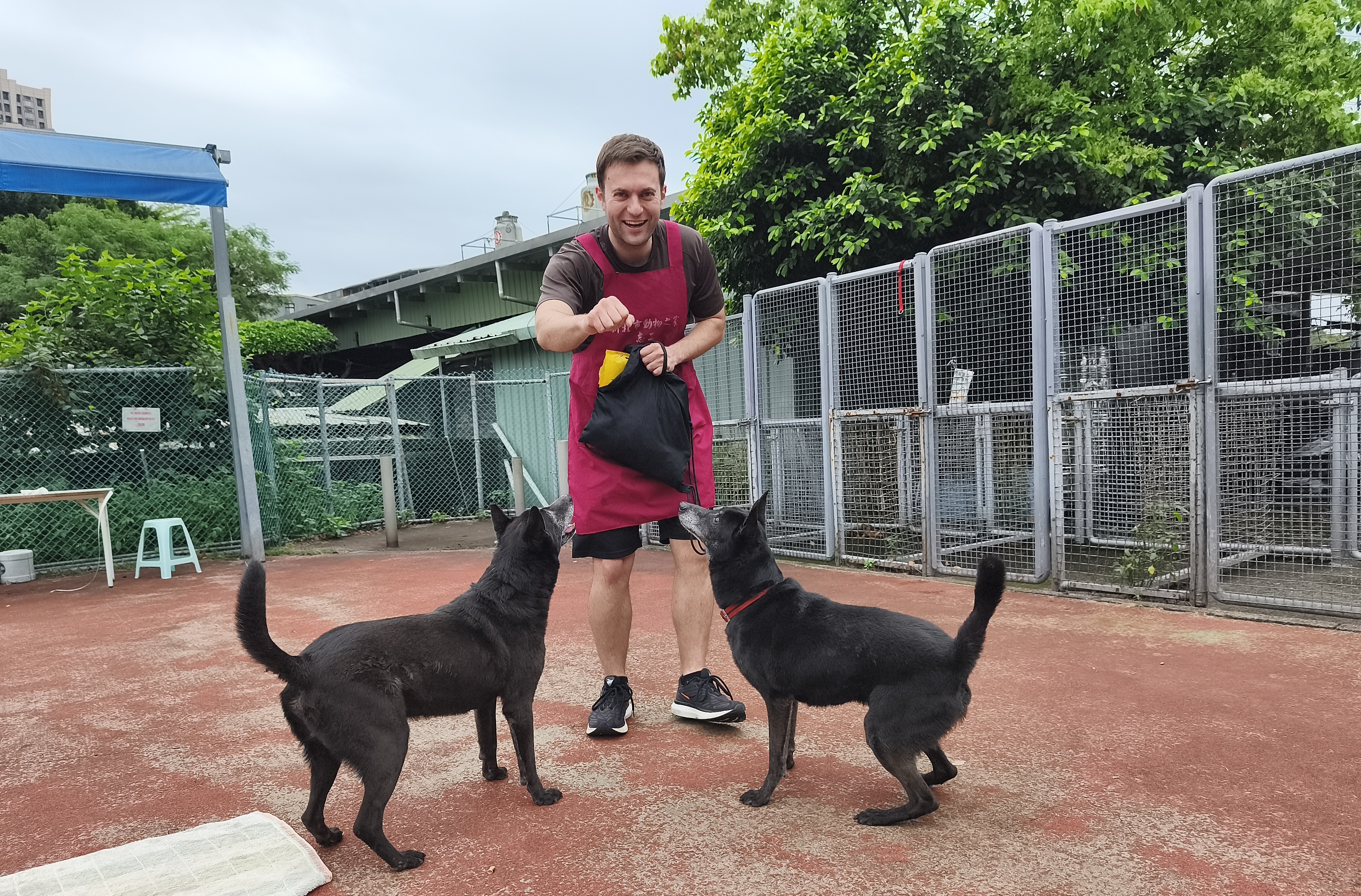課堂上分享與流浪犬互動故事，引導學生觀察動物行為、理解牠們的情緒