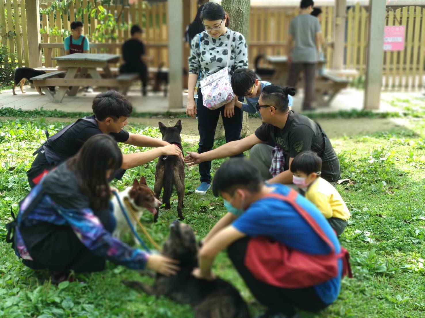 親子假日來動物之家學習如何和毛寶貝親近，這是台灣溫馨感人的美麗風景線