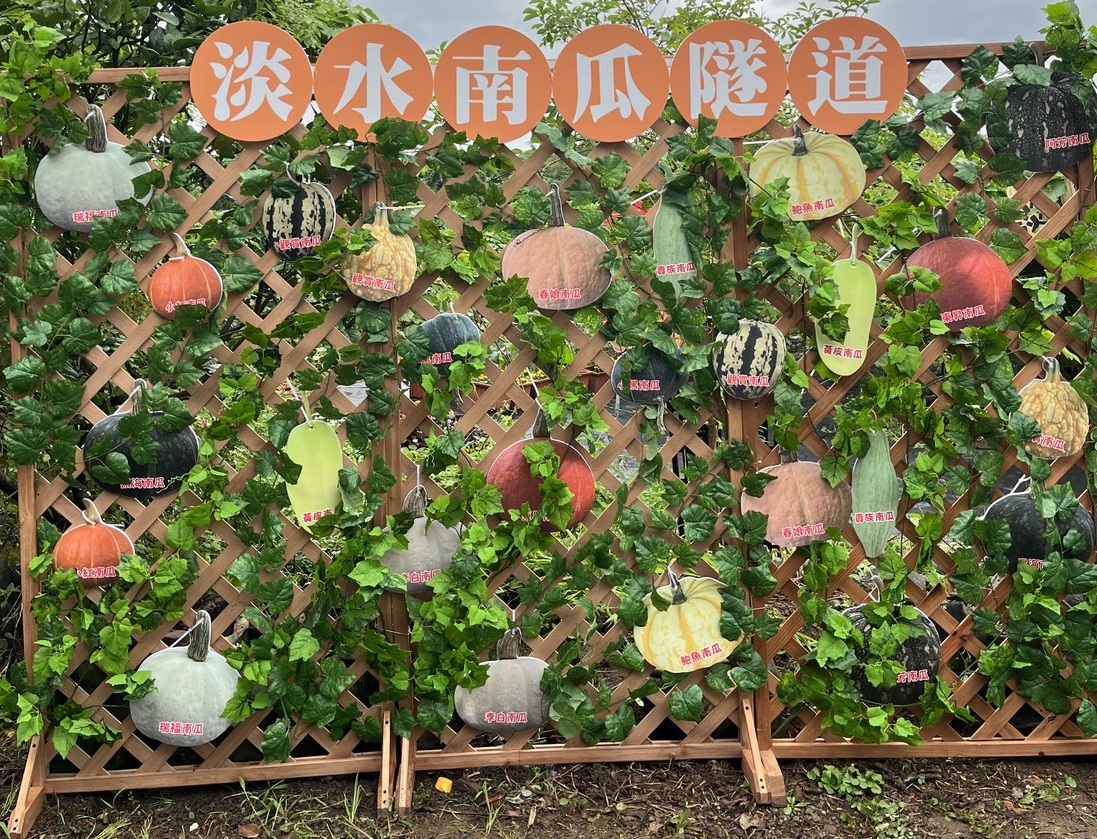 農會設置南瓜打卡牆