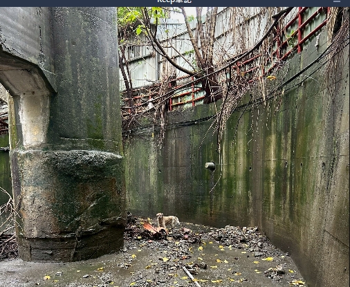 終於回到路面得到自由