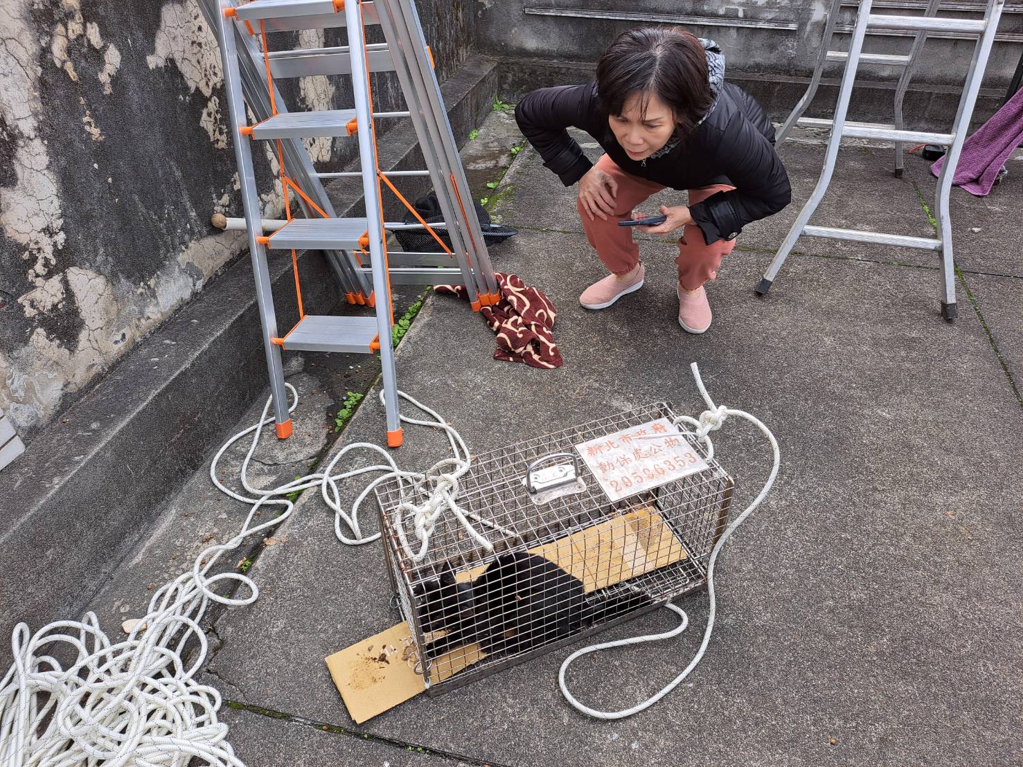 後續將由獸醫師安排治療與照護，待健康恢復後施打疫苗、完成絕育，並開放民眾認養