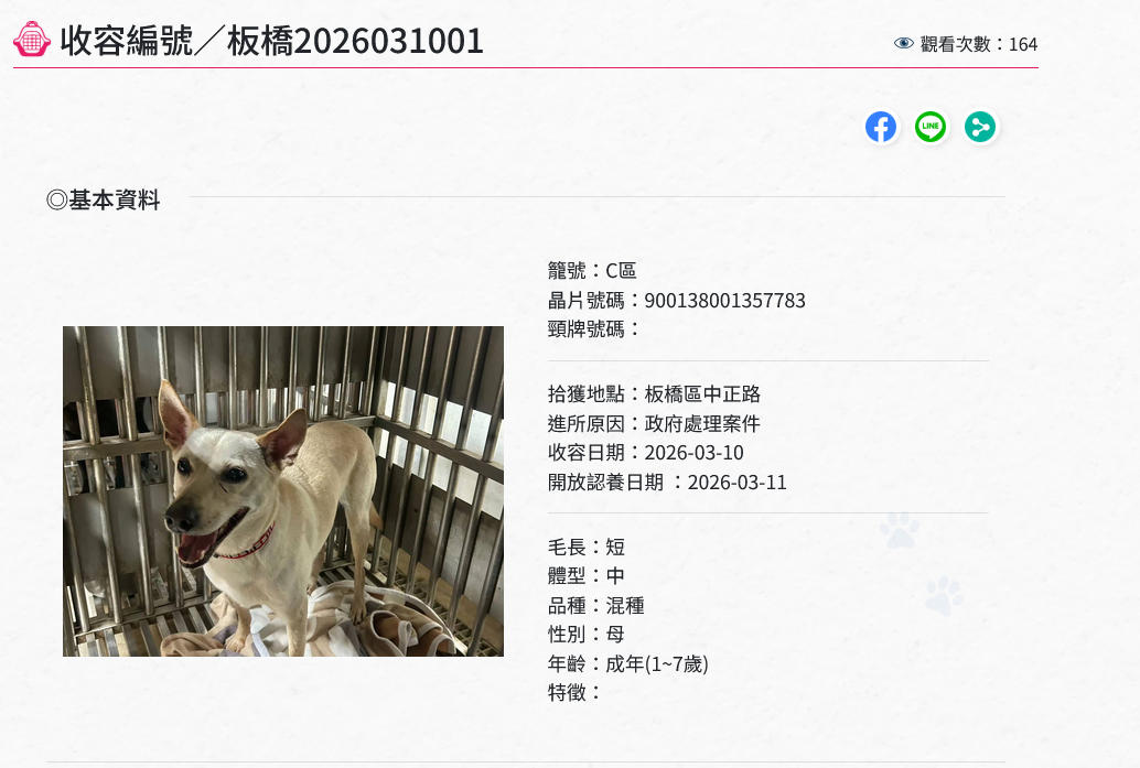 板橋動物之家收容編號