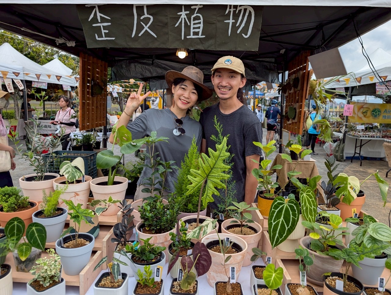 綠植店家歪皮植物將帶來各種鹿角蕨及觀葉植物