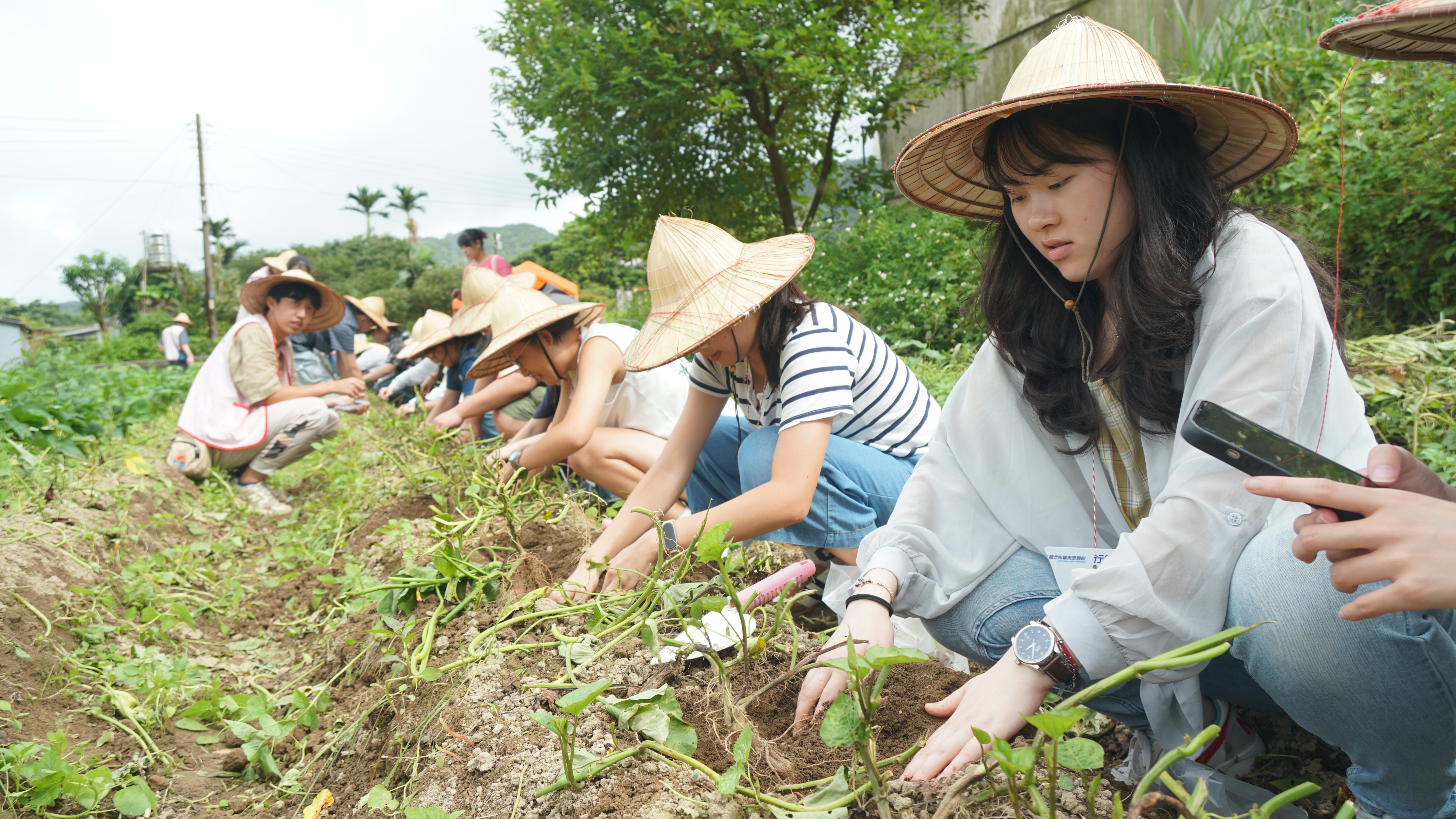  學生於「汪汪地瓜圓-農場漫遊記」課程實地體驗植物種植的樂趣