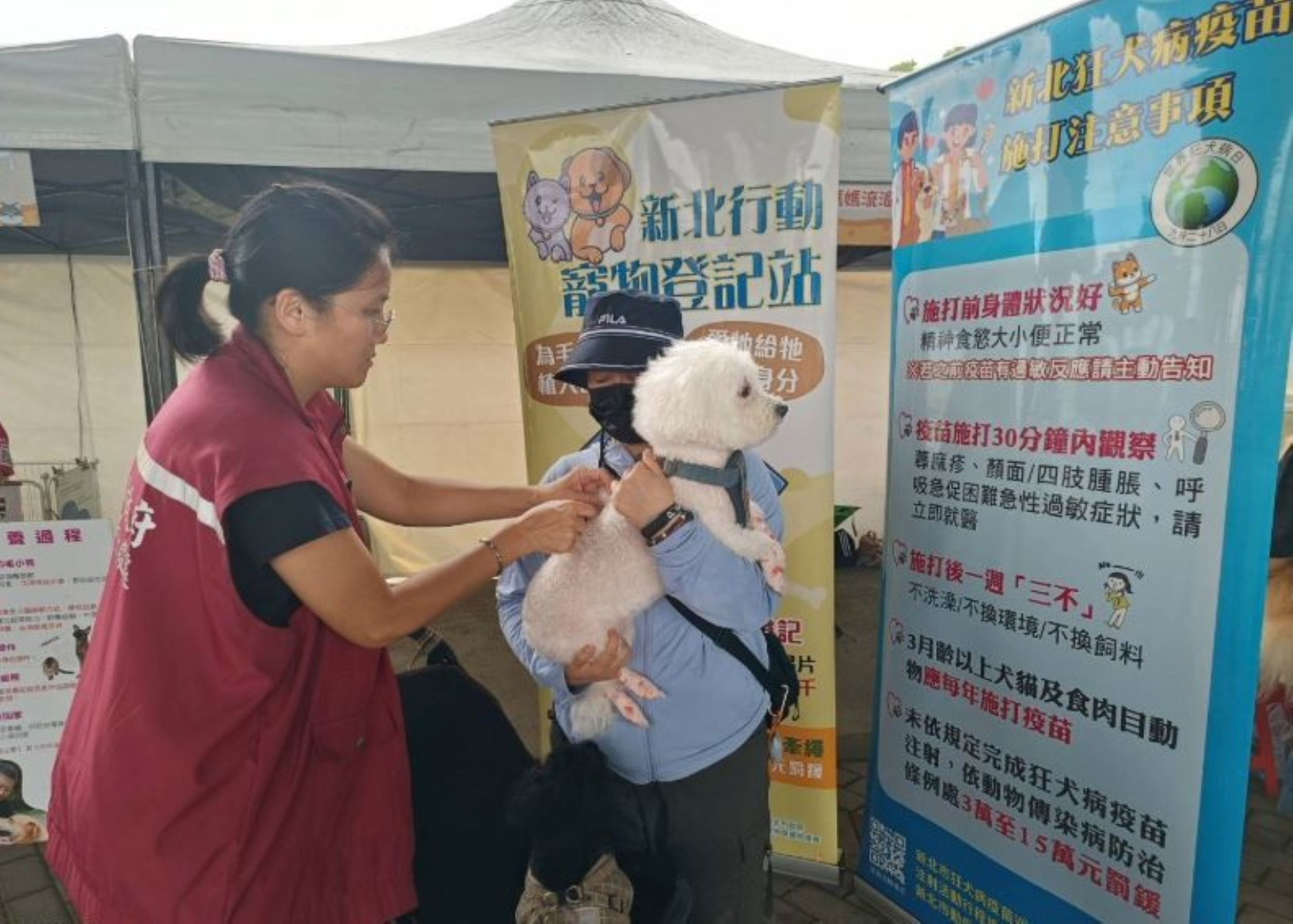  免費狂犬病疫苗及晶片注射