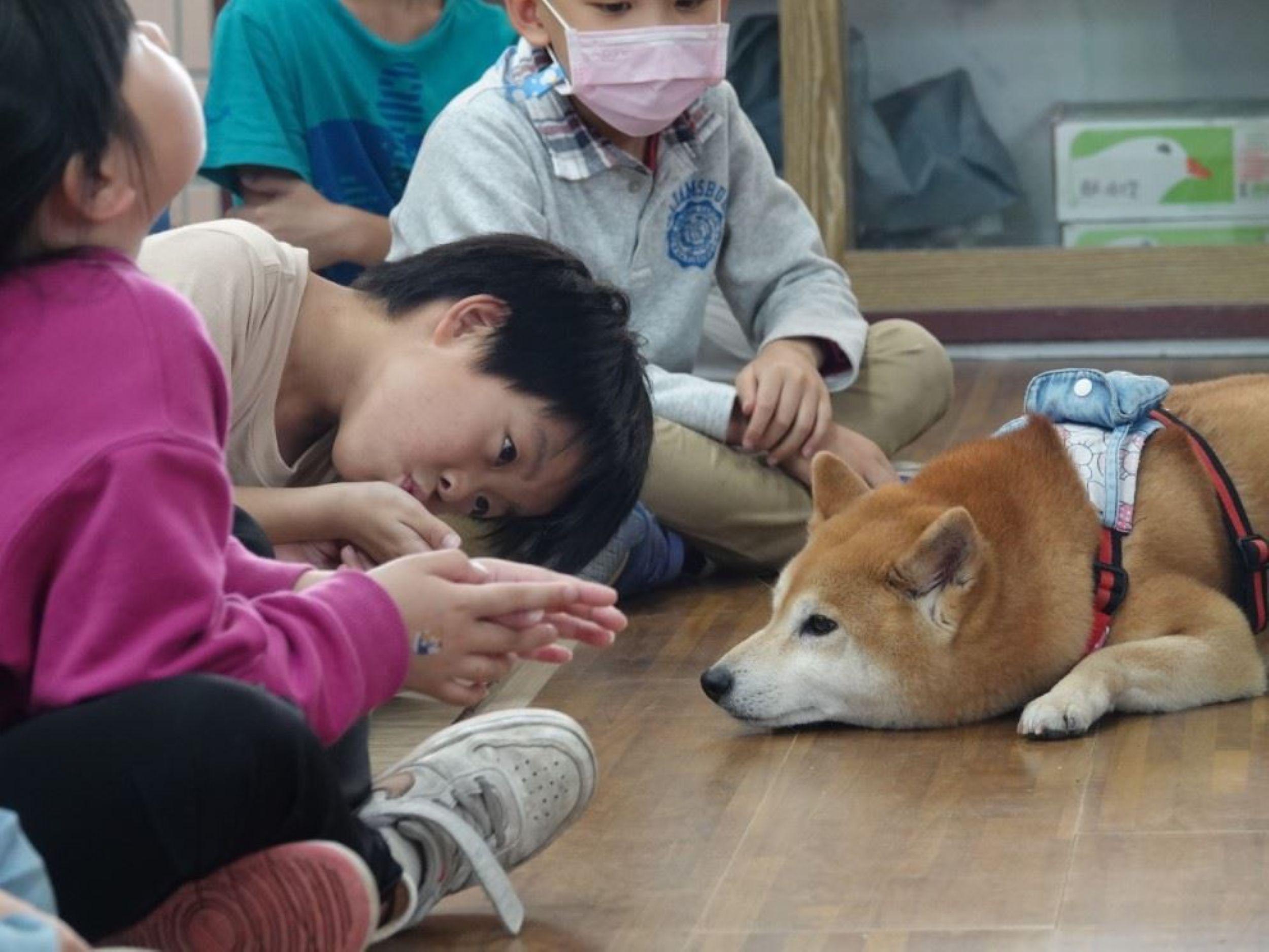 愛護動物生命教育