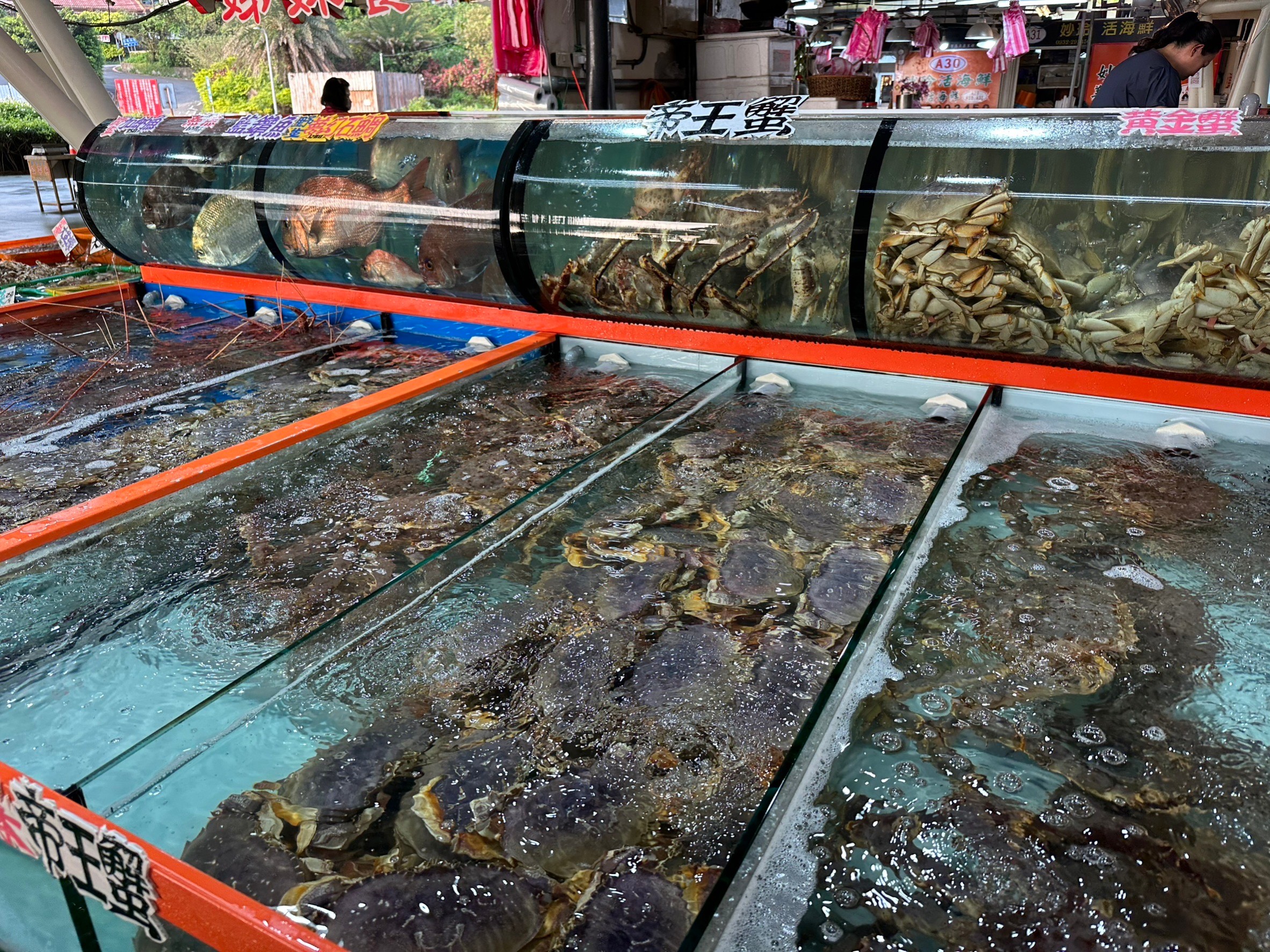 富基魚市水攤販售新鮮漁產 (2)