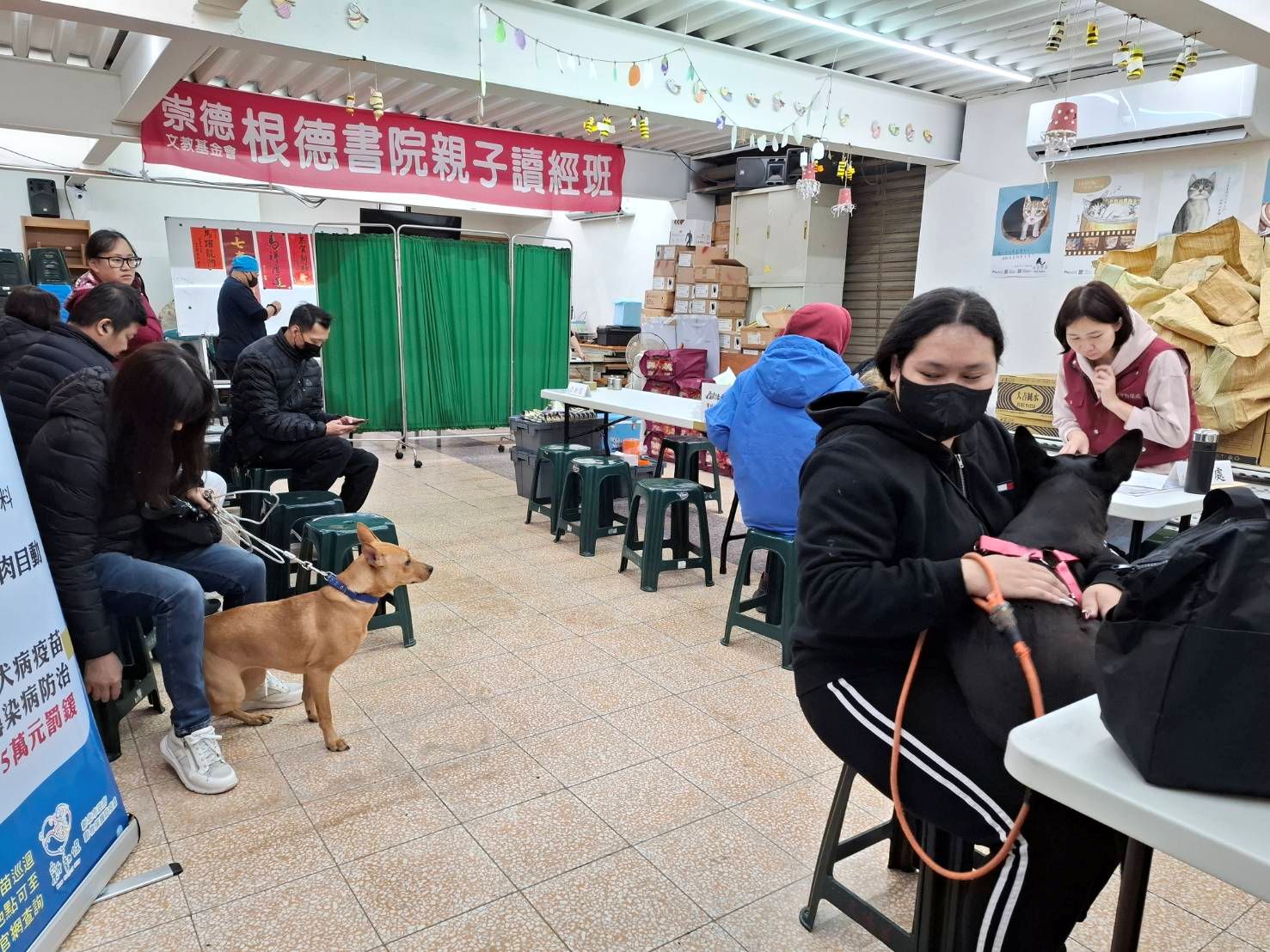  犬貓未絕育最高可處新臺幣5至25萬元罰鍰