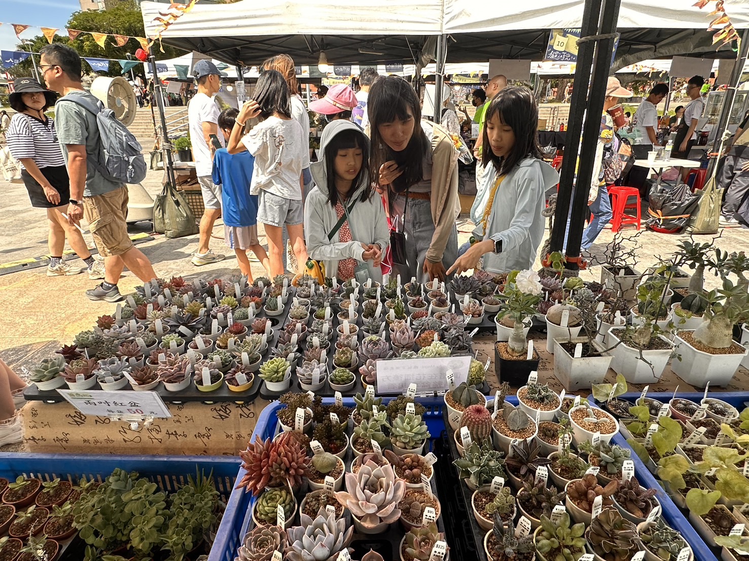 「2026植愈蒔光節」集結多家特色植栽品牌，民眾不僅能將滿滿綠意帶回家，透過日常悉心照顧多肉與鹿角蕨，能讓心靈進入更深層的沉浸式放鬆，在居家小森林中延續這份自然的美好與平靜