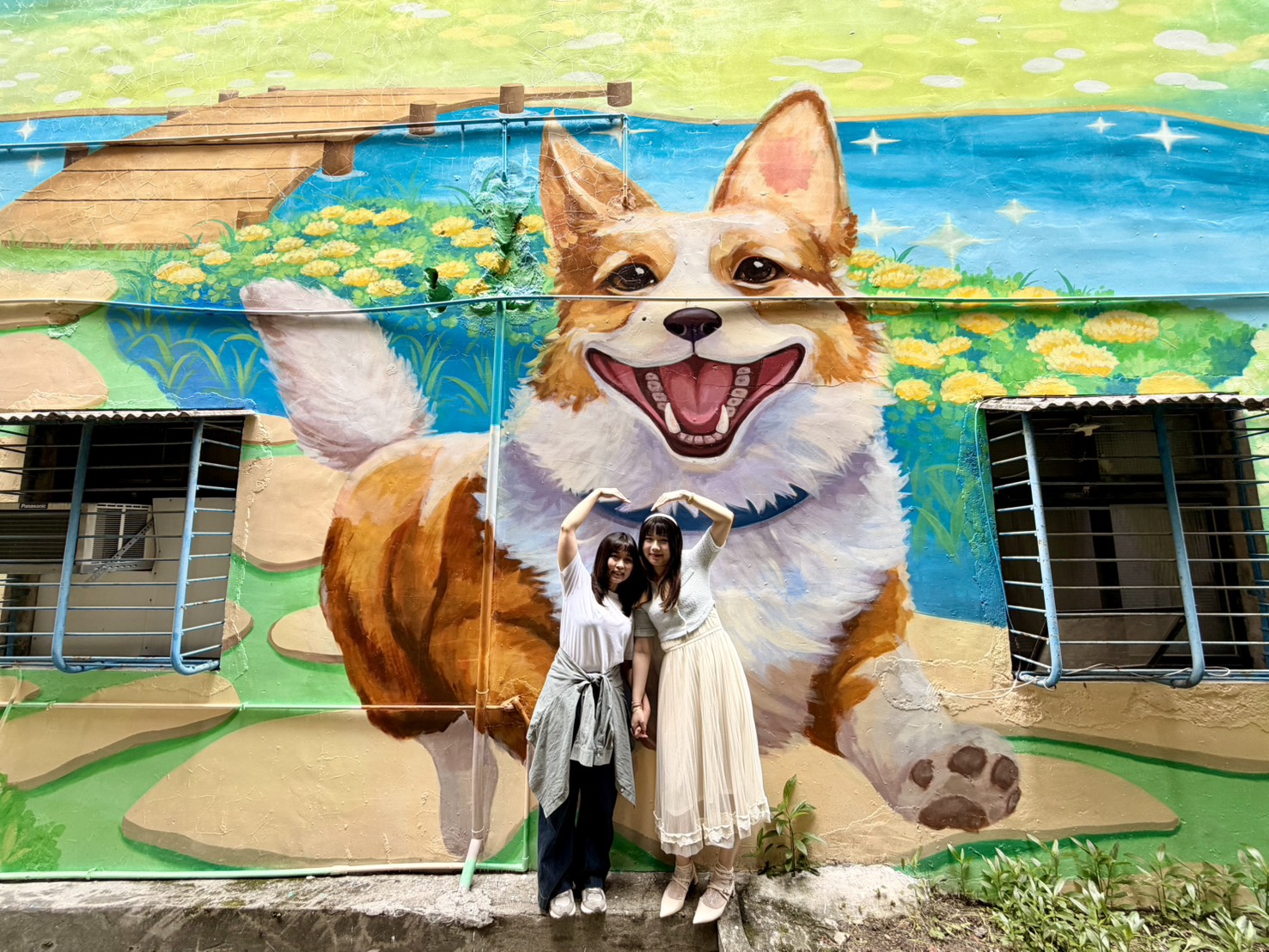 與快樂的柯基在後巷裡的公園裡恣意遊玩【中和區明穗里】