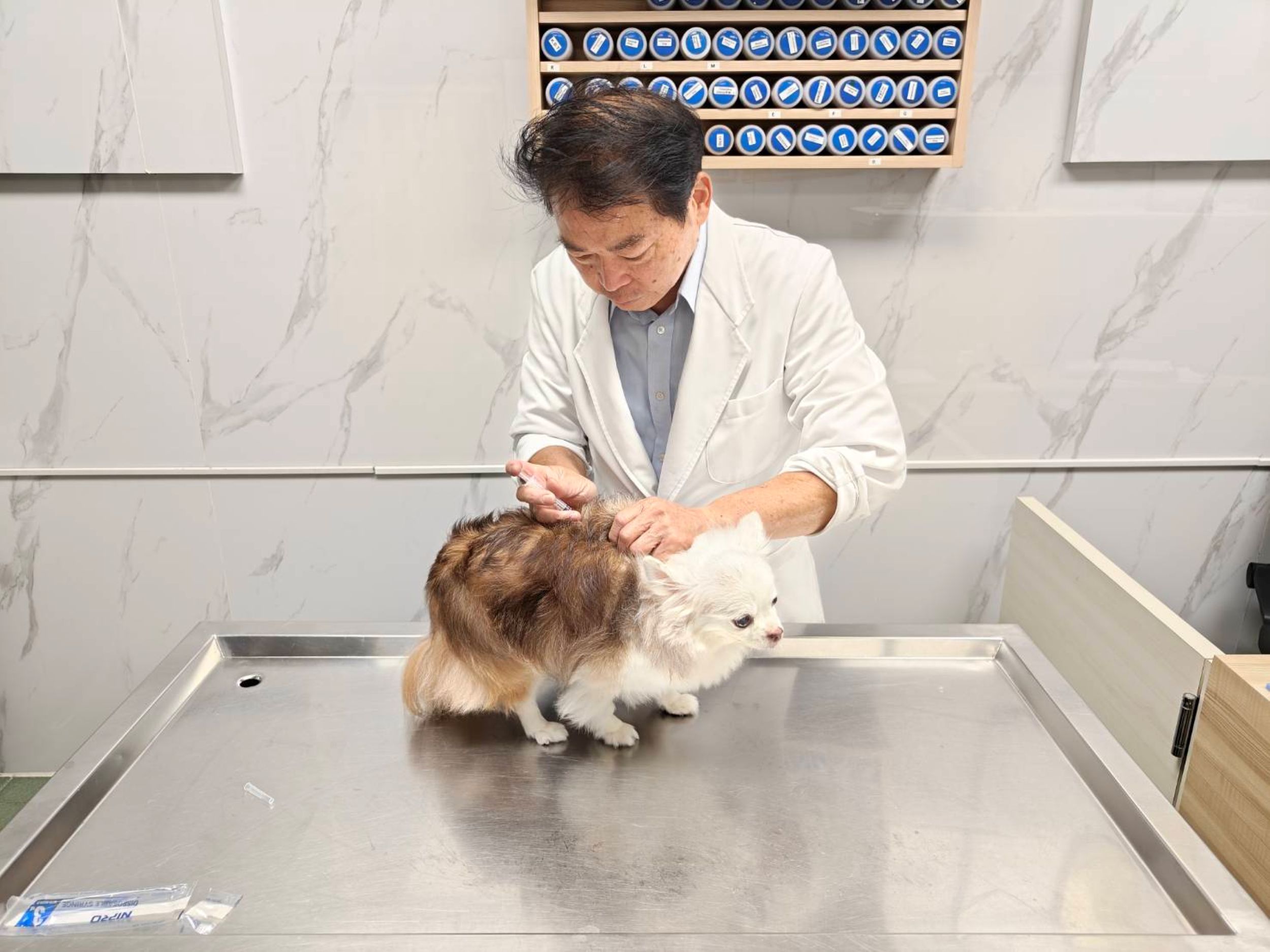 在狂犬病防疫宣導月，合約動物醫院獸醫協助飼主為家中犬隻完成狂犬病疫苗補強