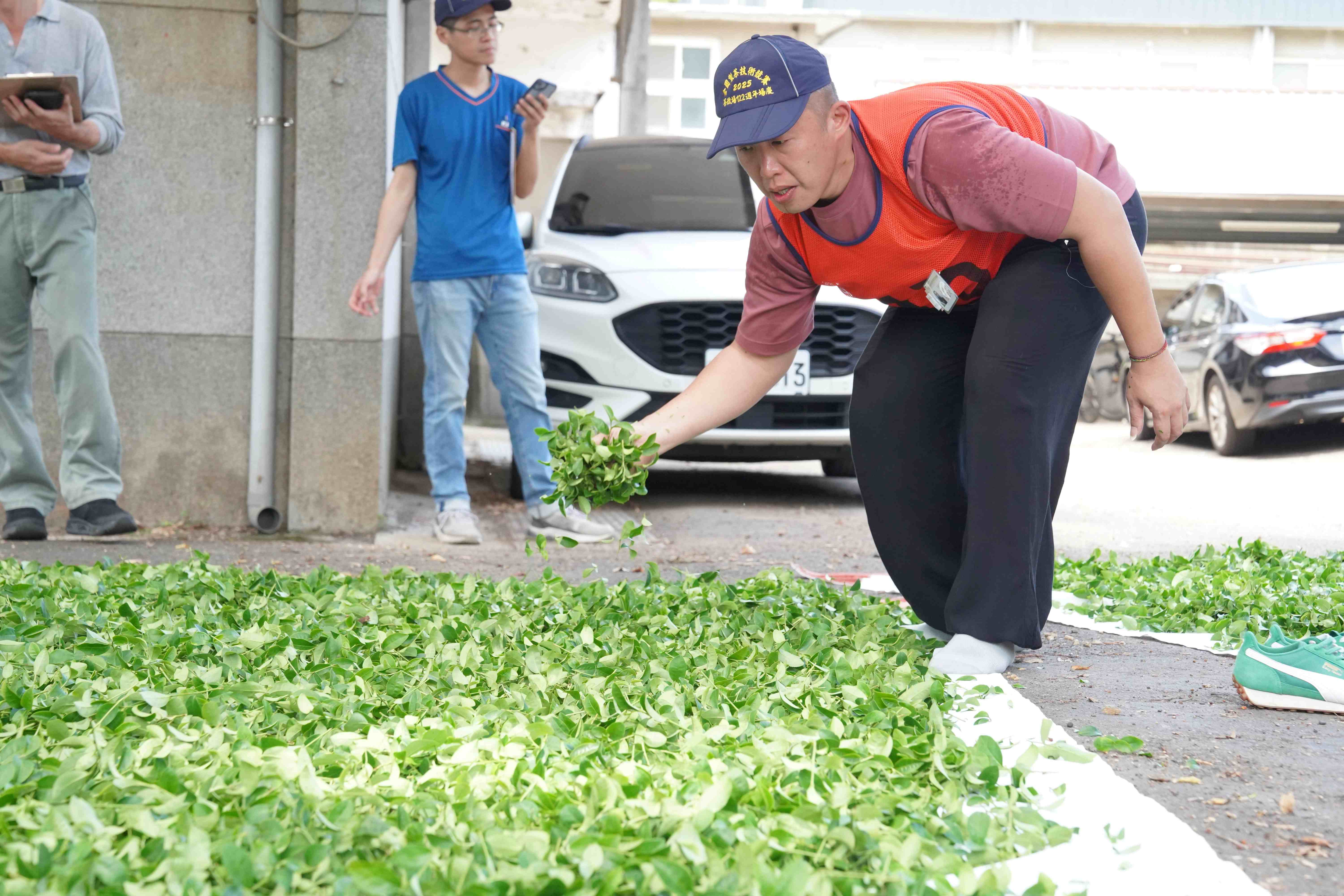 透過茶葉評鑑及製茶技術競賽，輔導農民精進技術並生產在地好茶，圖為張宏圩參與全國製茶技術競賽