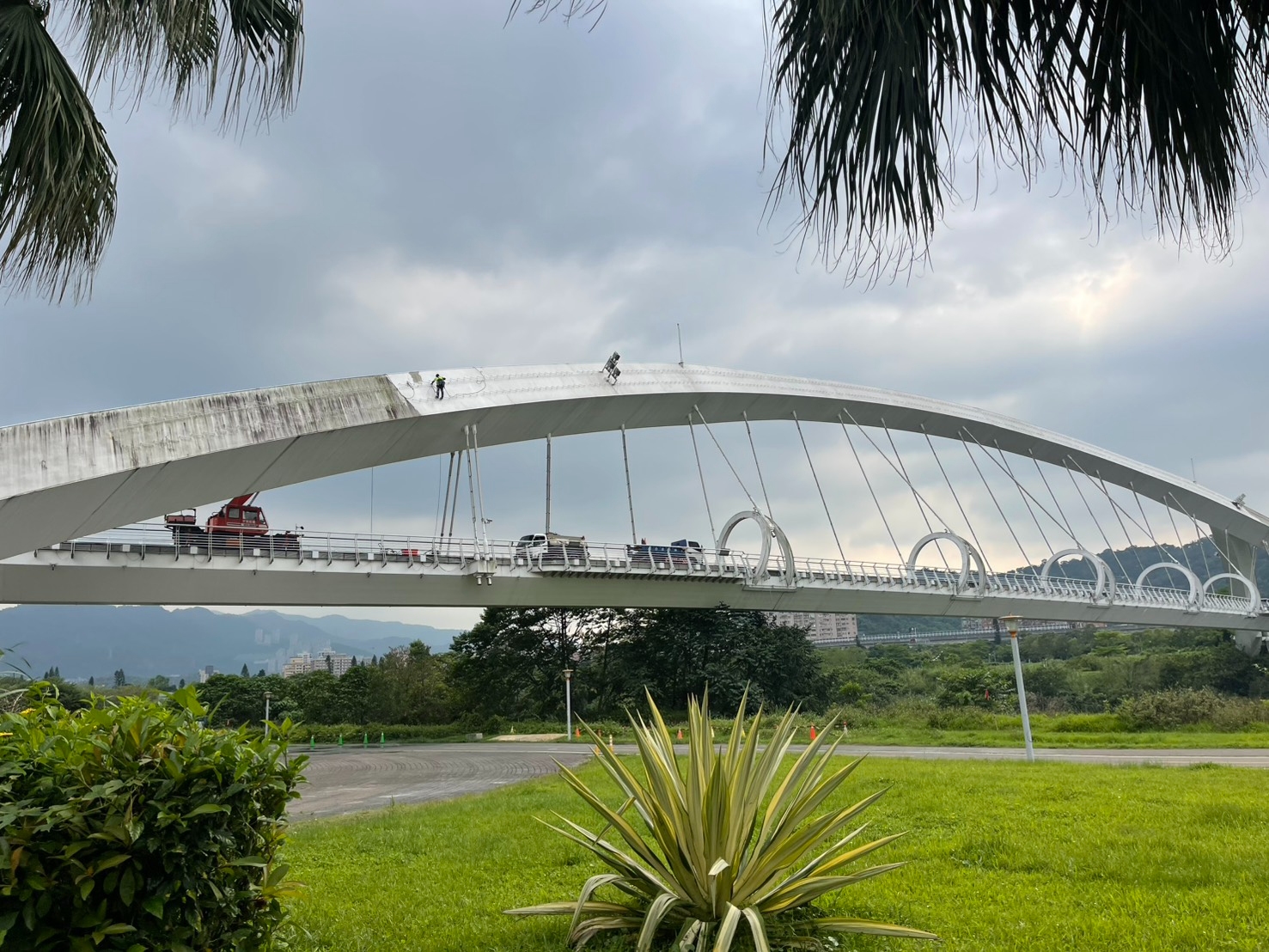  高空吊掛清洗陽光橋，展現施工人員專業與辛勞。