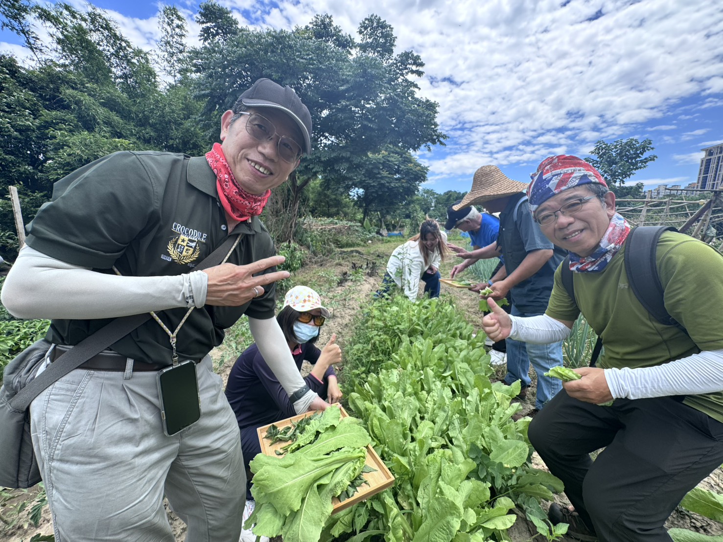 ▲學員親手採集當季野菜，體驗原住民族「現採現煮」的飲食文化。(圖/新北市政府原民局提供)