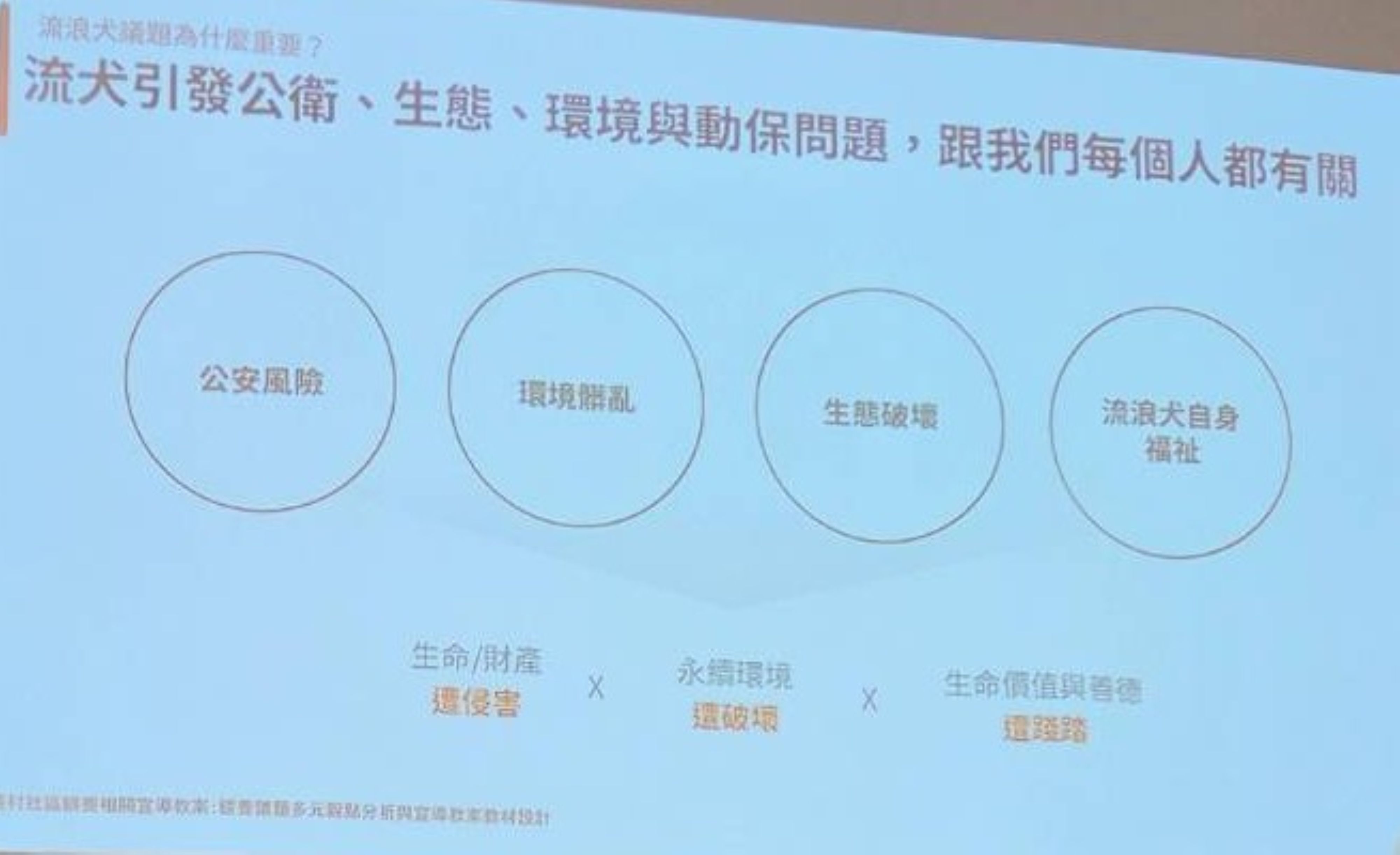  遊蕩犬社區管理計畫推廣簡報
