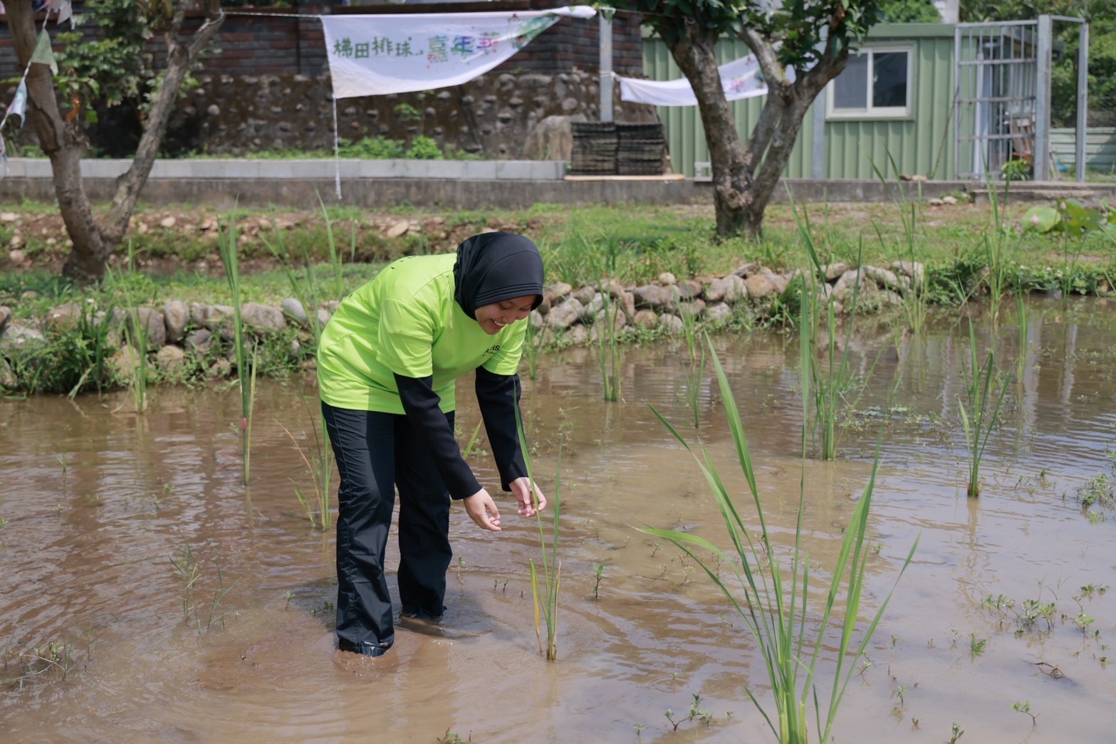 水梯田不僅是農業生產場域，更成為市民親近土地、感受農村魅力的自然教室