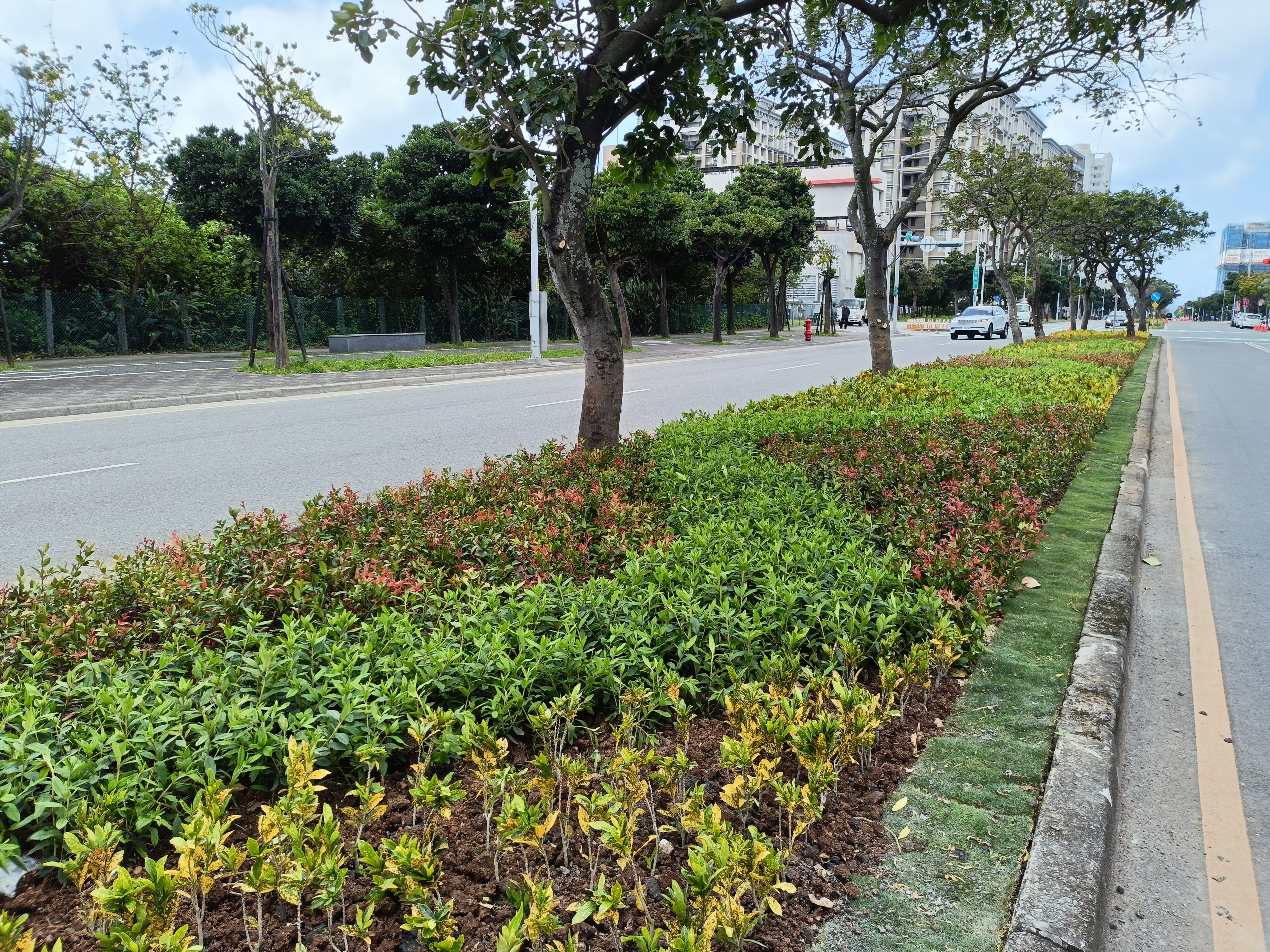 圖1. 兼具視覺層次與色彩美學的複層式植栽配置。