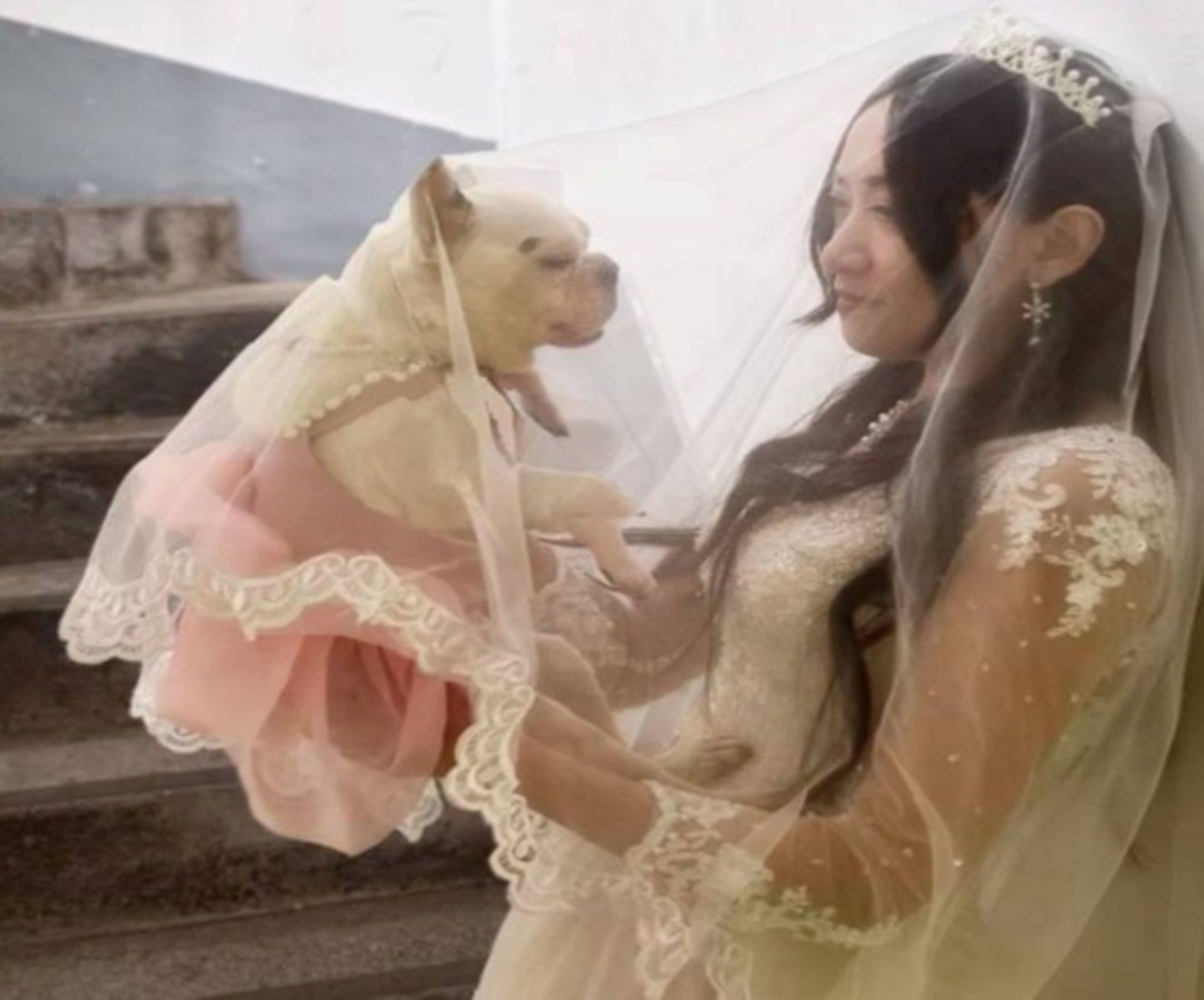  飼主與「妹妹」一起拍的婚紗照。