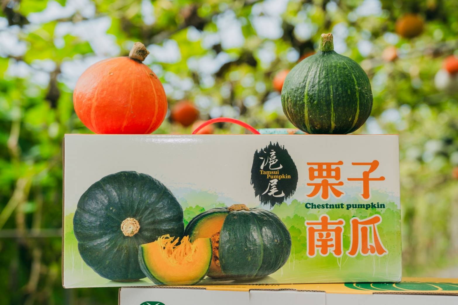 淡水農會超市推出栗子南瓜禮盒早鳥預訂優惠活動
