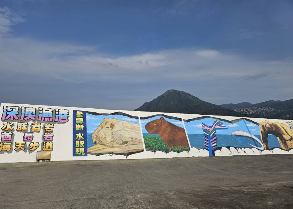 水豚主題壁畫