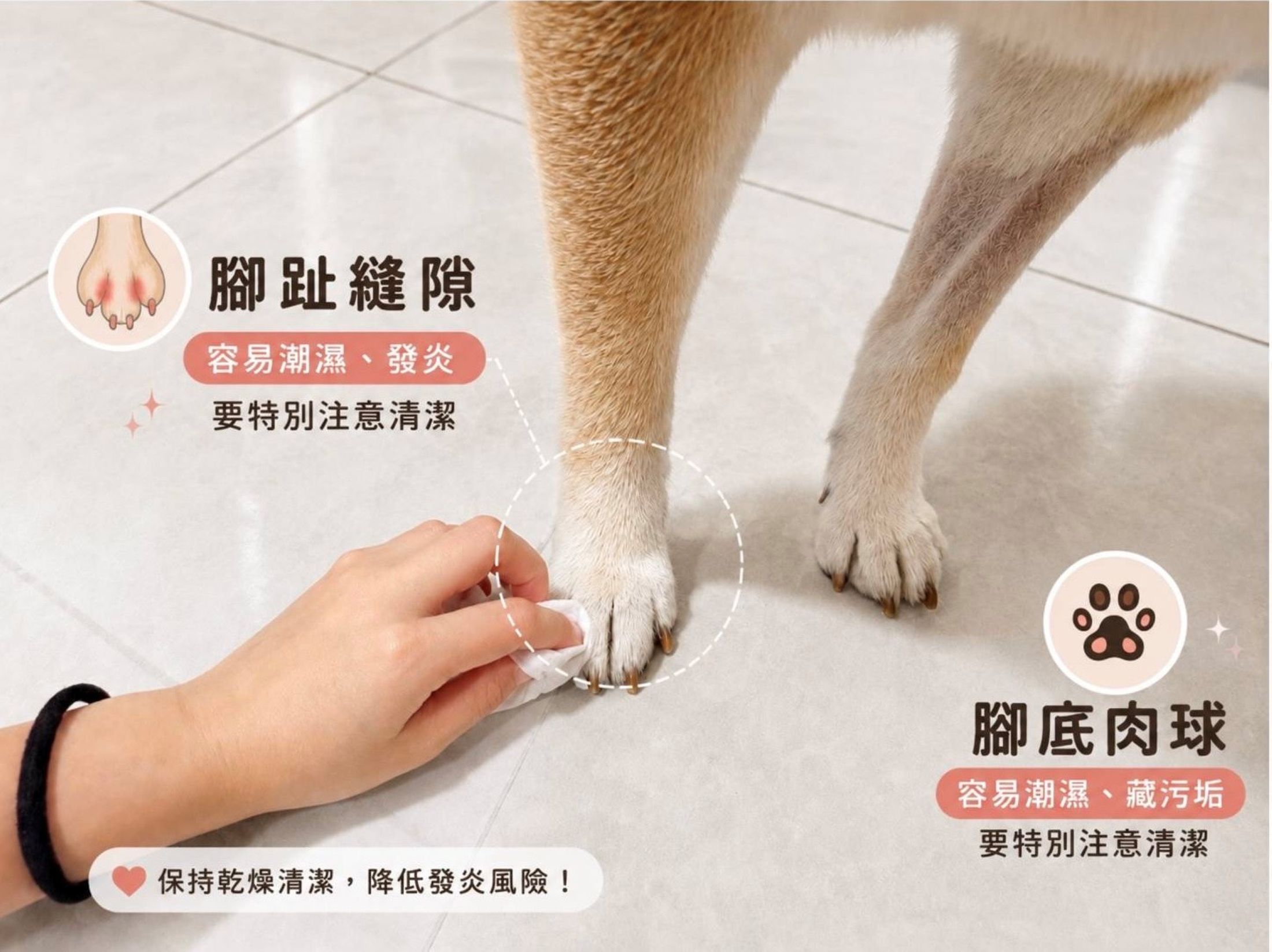 圖片來源：新北市政府