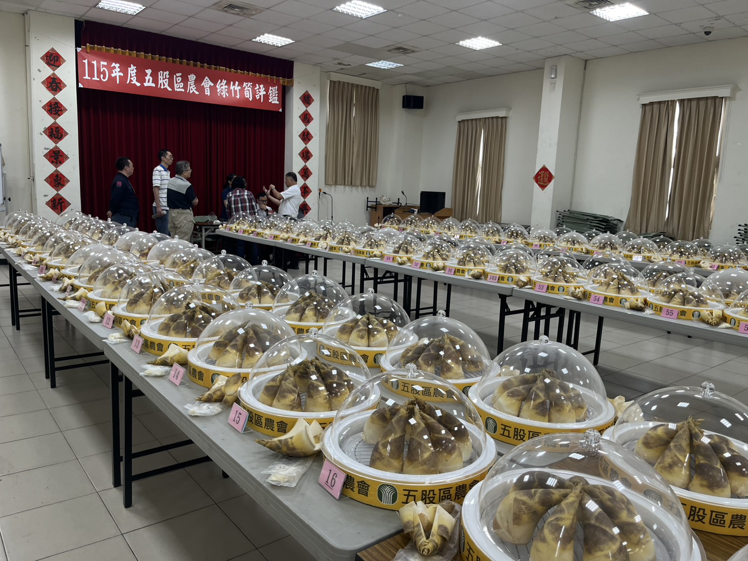 115年度五股區農會綠竹筍評鑑盛大登場，現場110位優秀筍農參賽，競爭相當激烈。