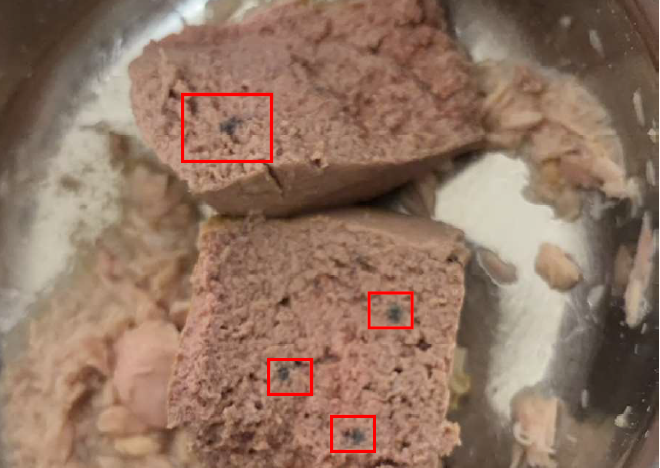  罐頭疑似有發霉情形