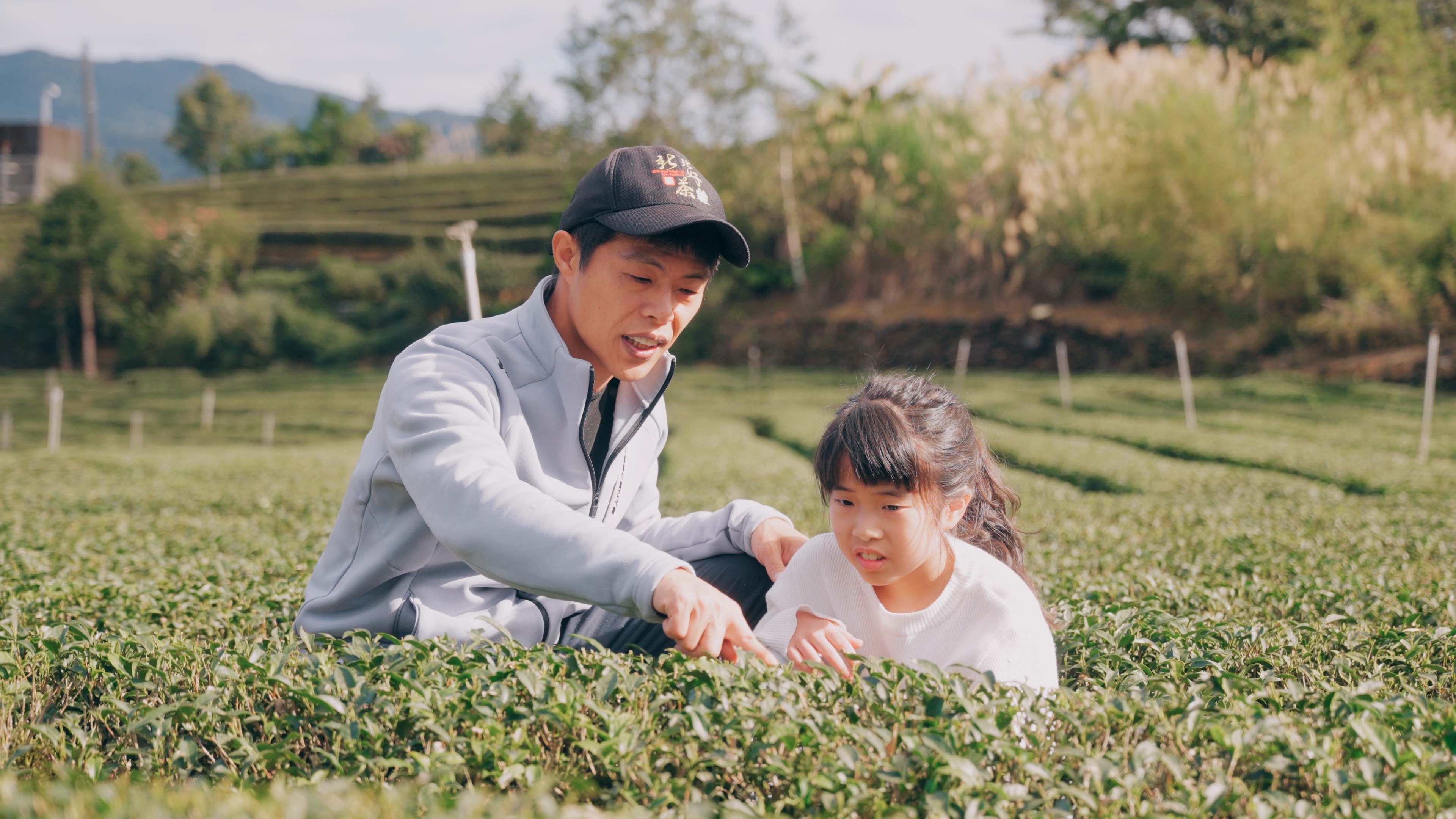 青農王盛翔帶孩子認識茶園，推動永續農業傳承