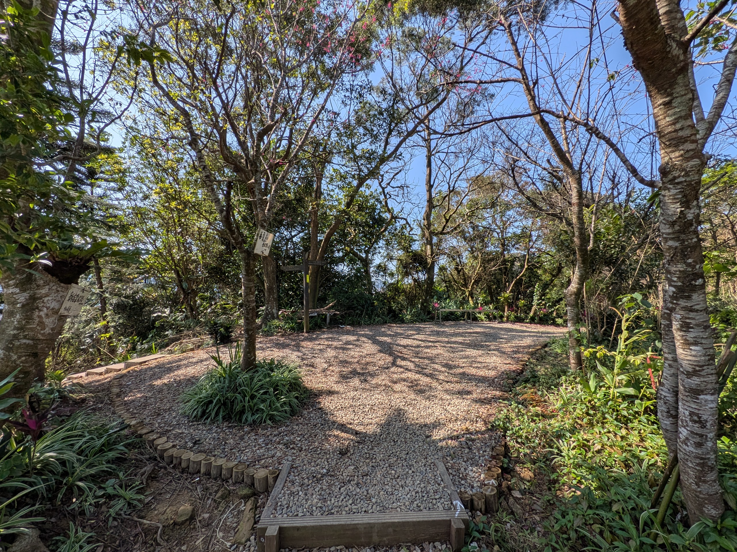  漫步在烘爐地登山步道，沿途林蔭茂密、陽光灑落，鋪面整潔的休憩平台為山友提供愜意的喘息空間