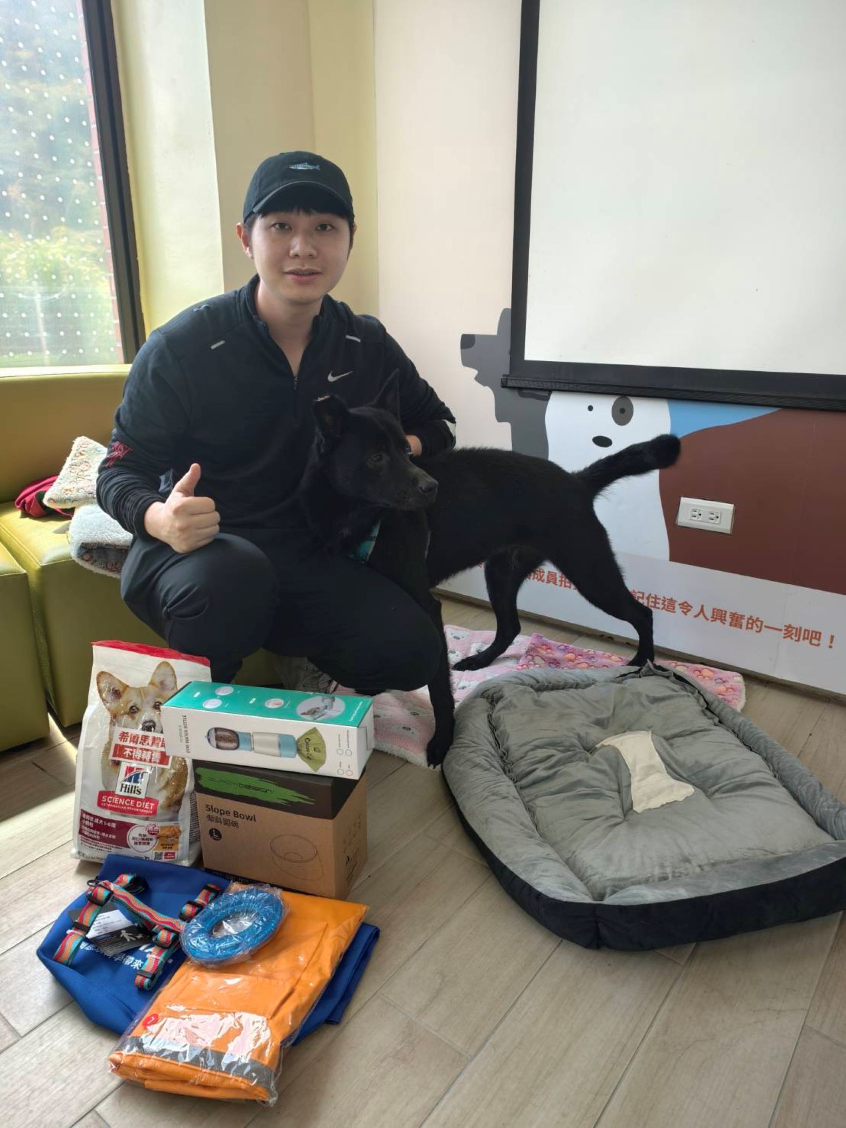 黑色中大型米克斯老犬「憨憨」晚年找到幸福的家